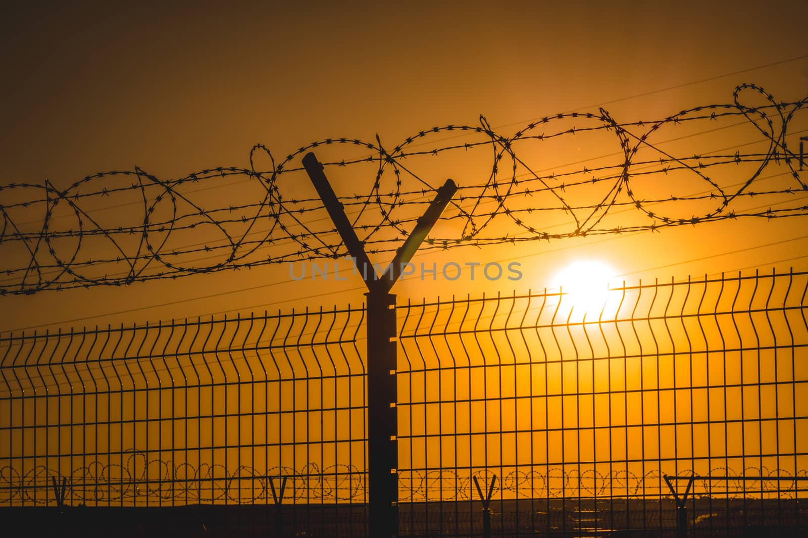 barbed wire steel wall against the immigations usa or europe