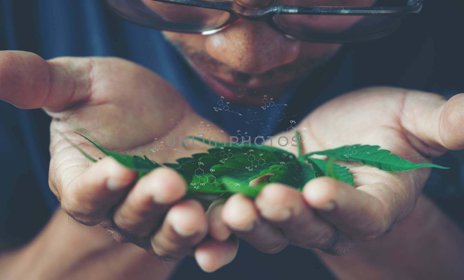 Hand holding marijuana leaf with cbd thc chemical structure by anankkml