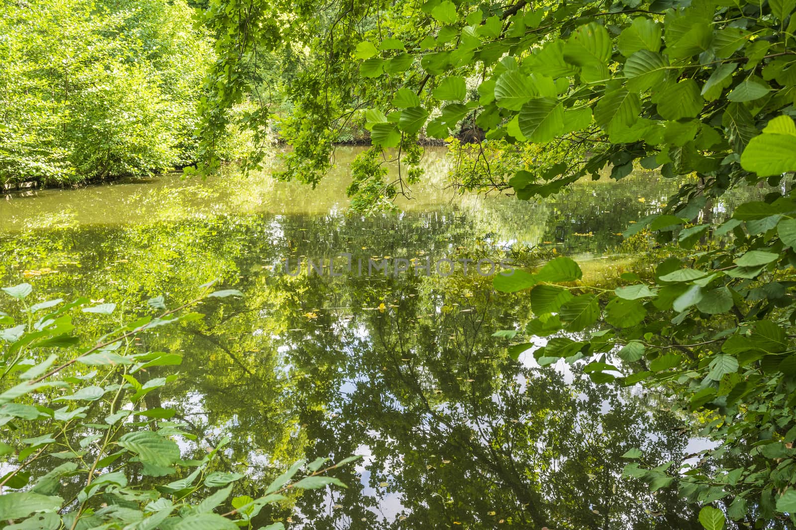 Lake of Schlossgarten Charlottenburg in Berlin by ankarb