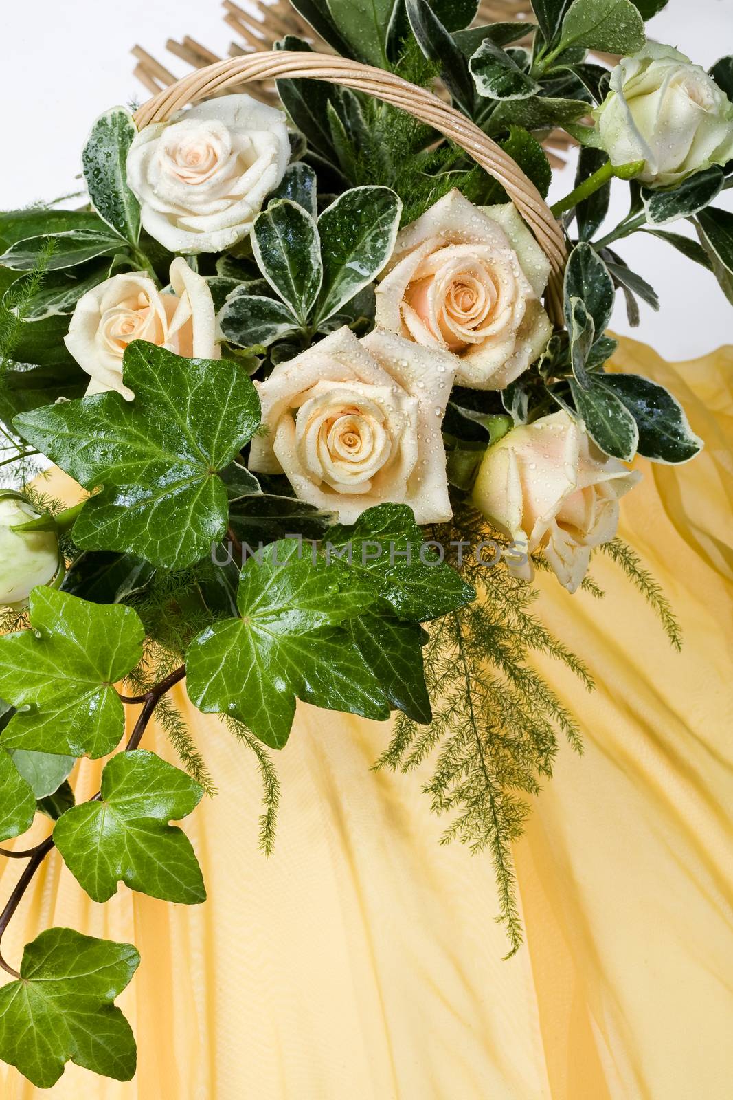 Still life with flowers on a studio background