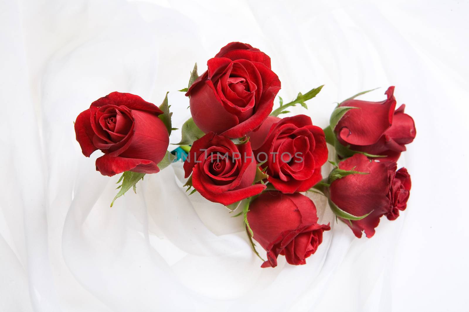 Still life with flowers on a studio background