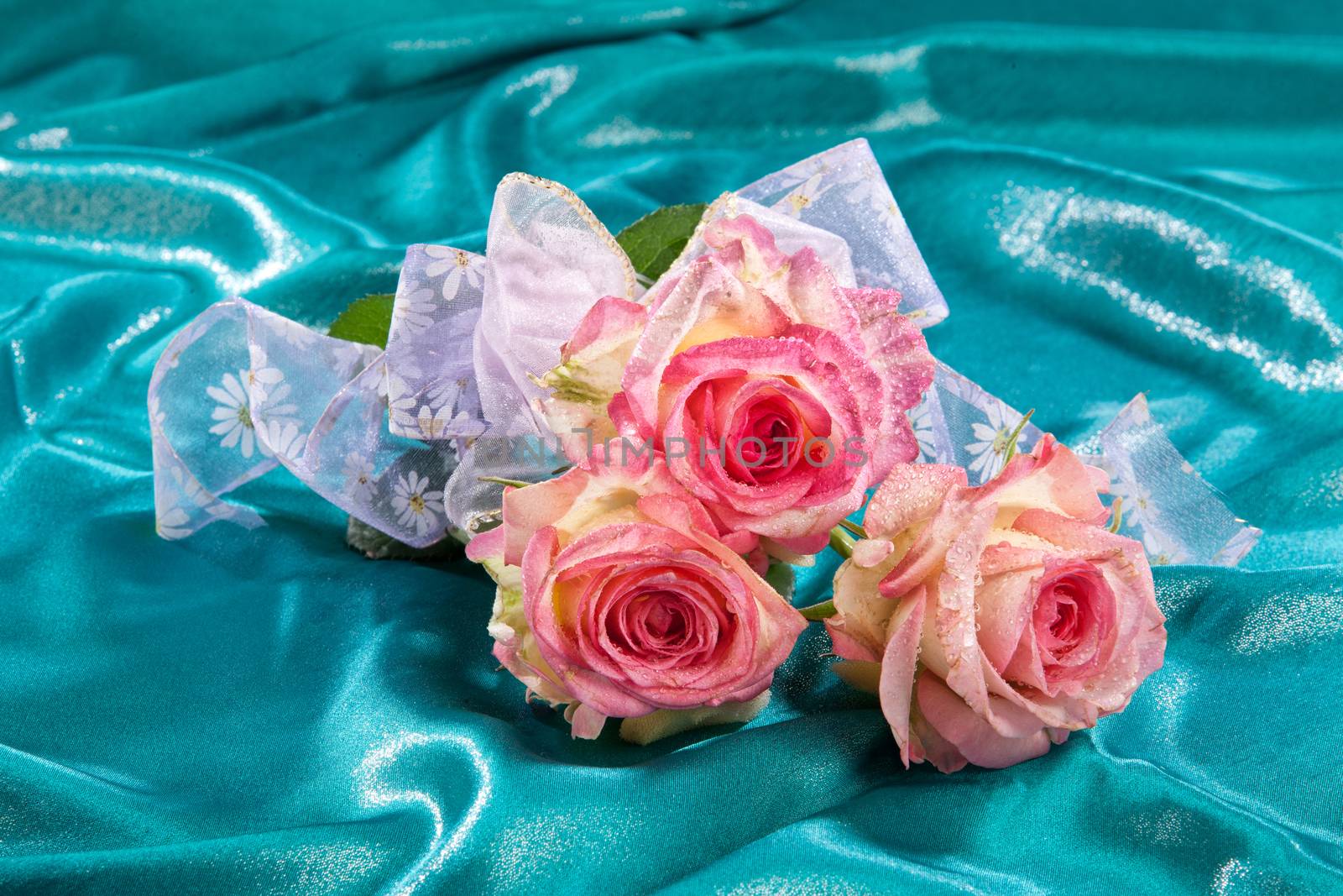 Still life with flowers on a studio background