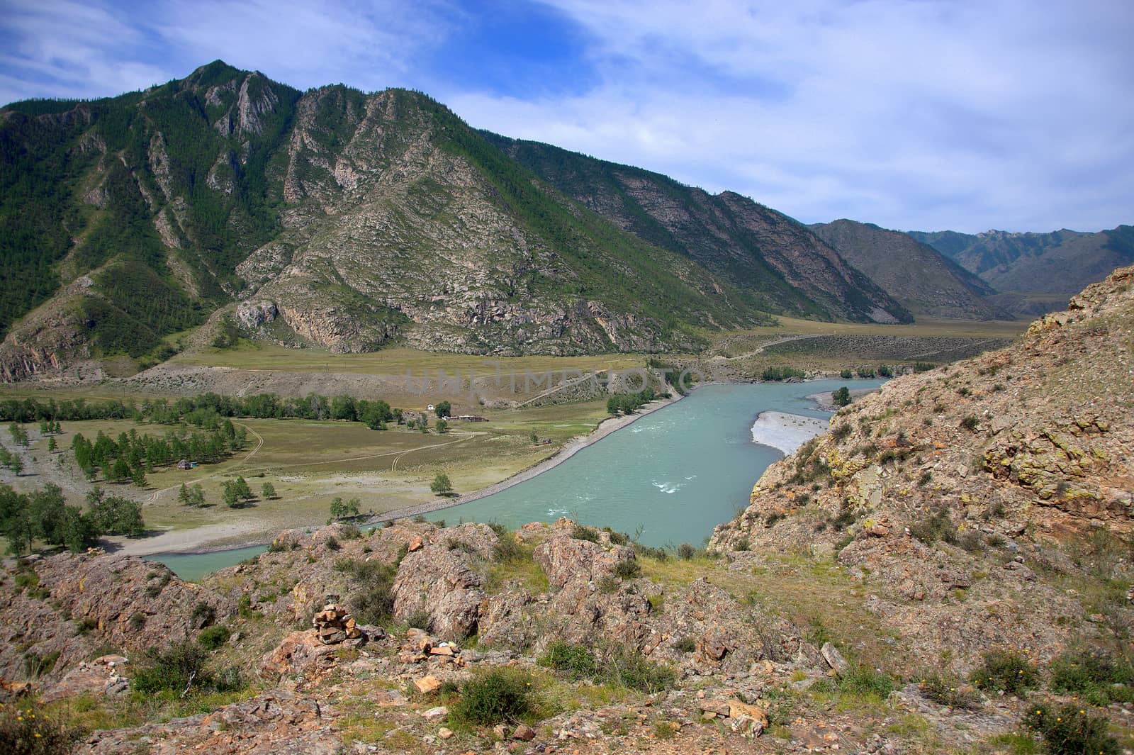 The turquoise river flows curving through the valley at the foot of the mountains. Altai, Siberia, Russia.