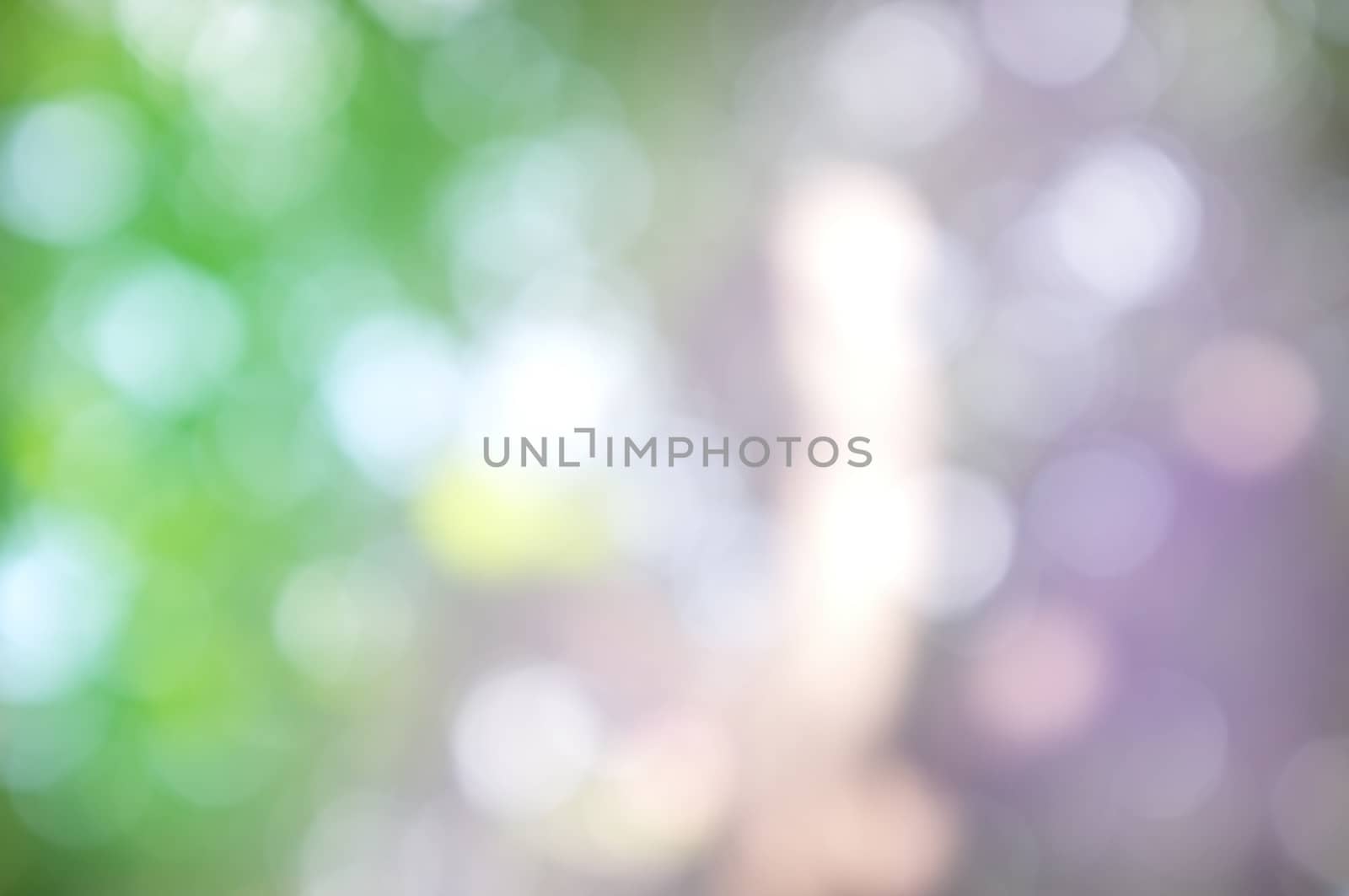 Abstract circular bokeh nature background of light . Blur background