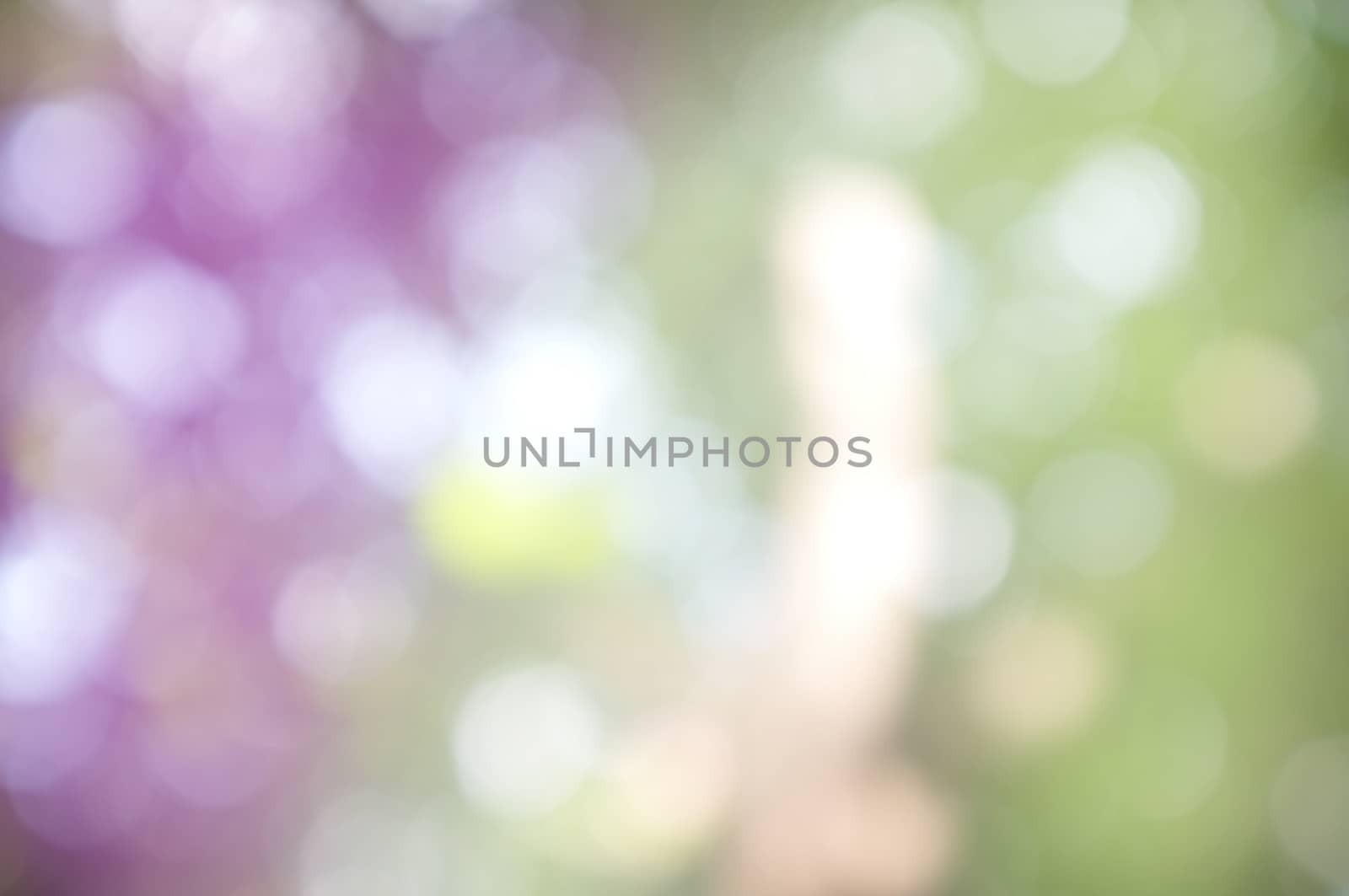 Abstract circular bokeh nature background of light . Blur background