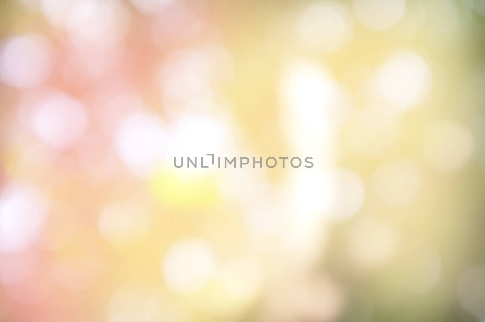 Abstract circular bokeh nature background of light . Blur background