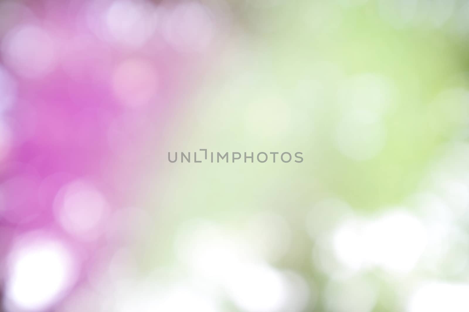 Abstract circular bokeh nature background of light . Blur background
