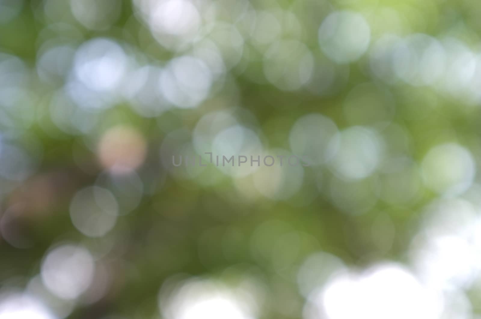 Abstract circular bokeh nature background of light . Blur background