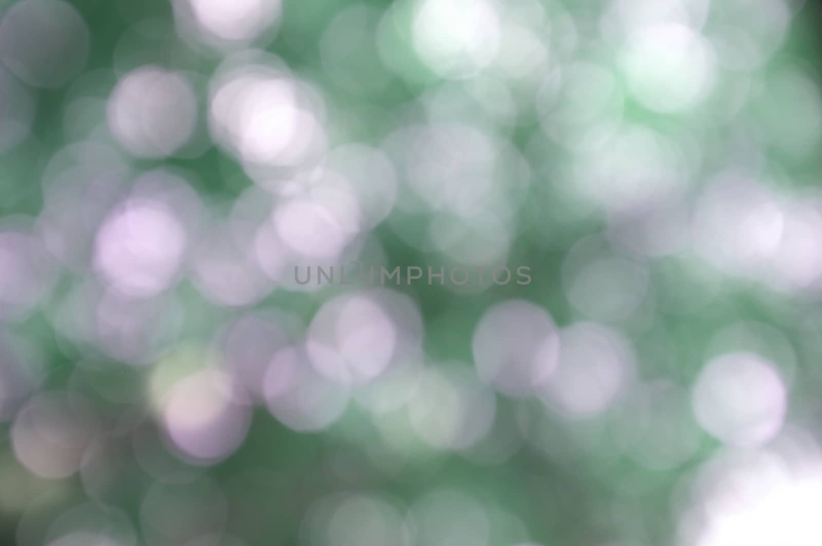 Abstract circular bokeh nature background of light . Blur background
