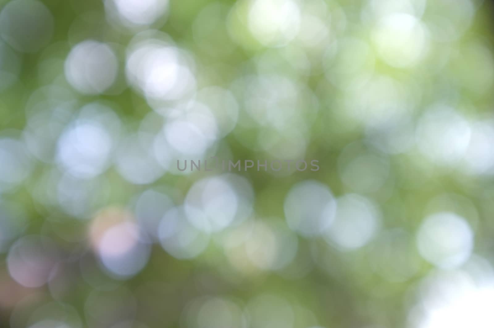 Abstract circular bokeh nature background of light . Blur background