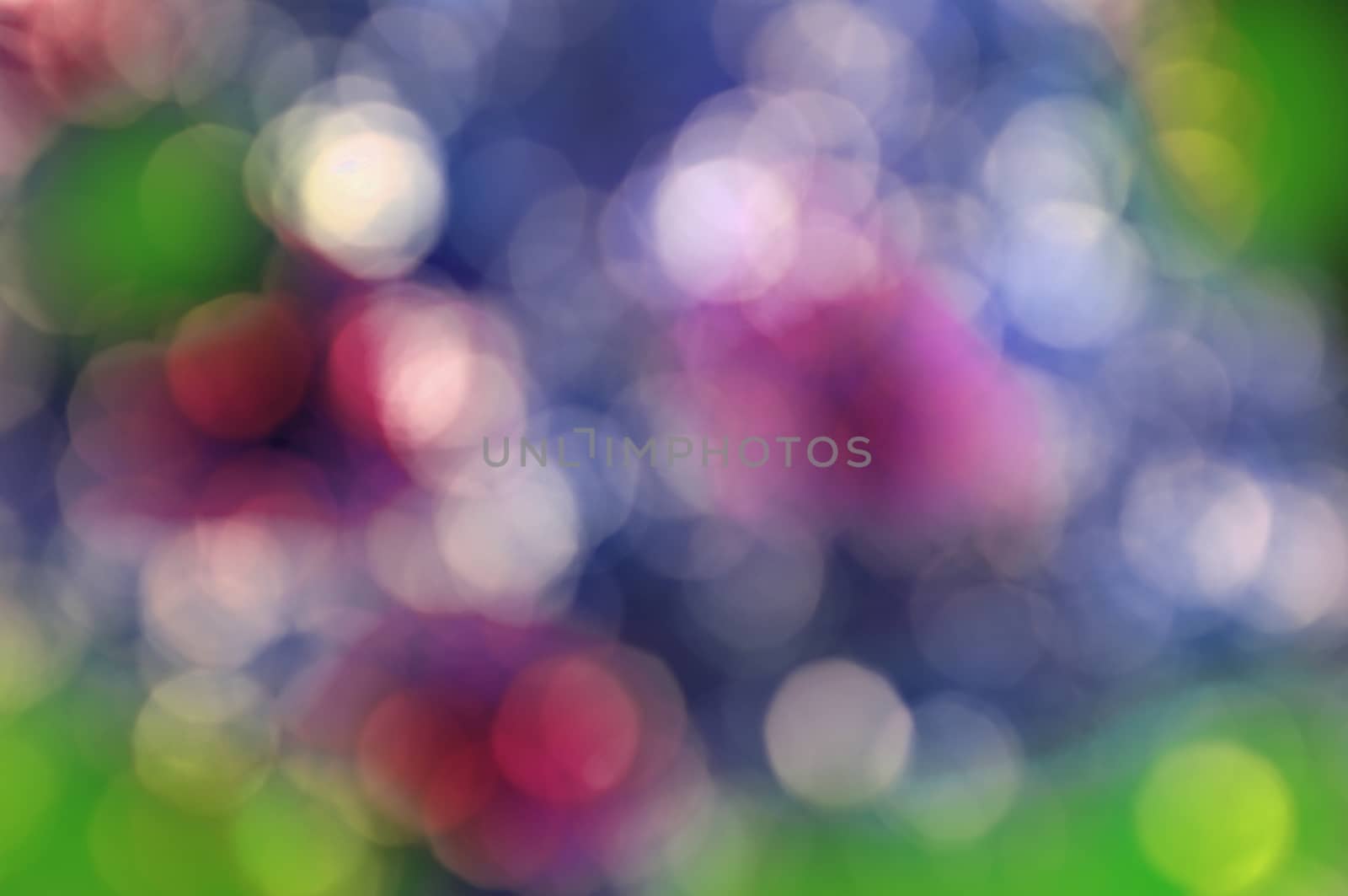 Abstract circular bokeh nature background of light . Blur background