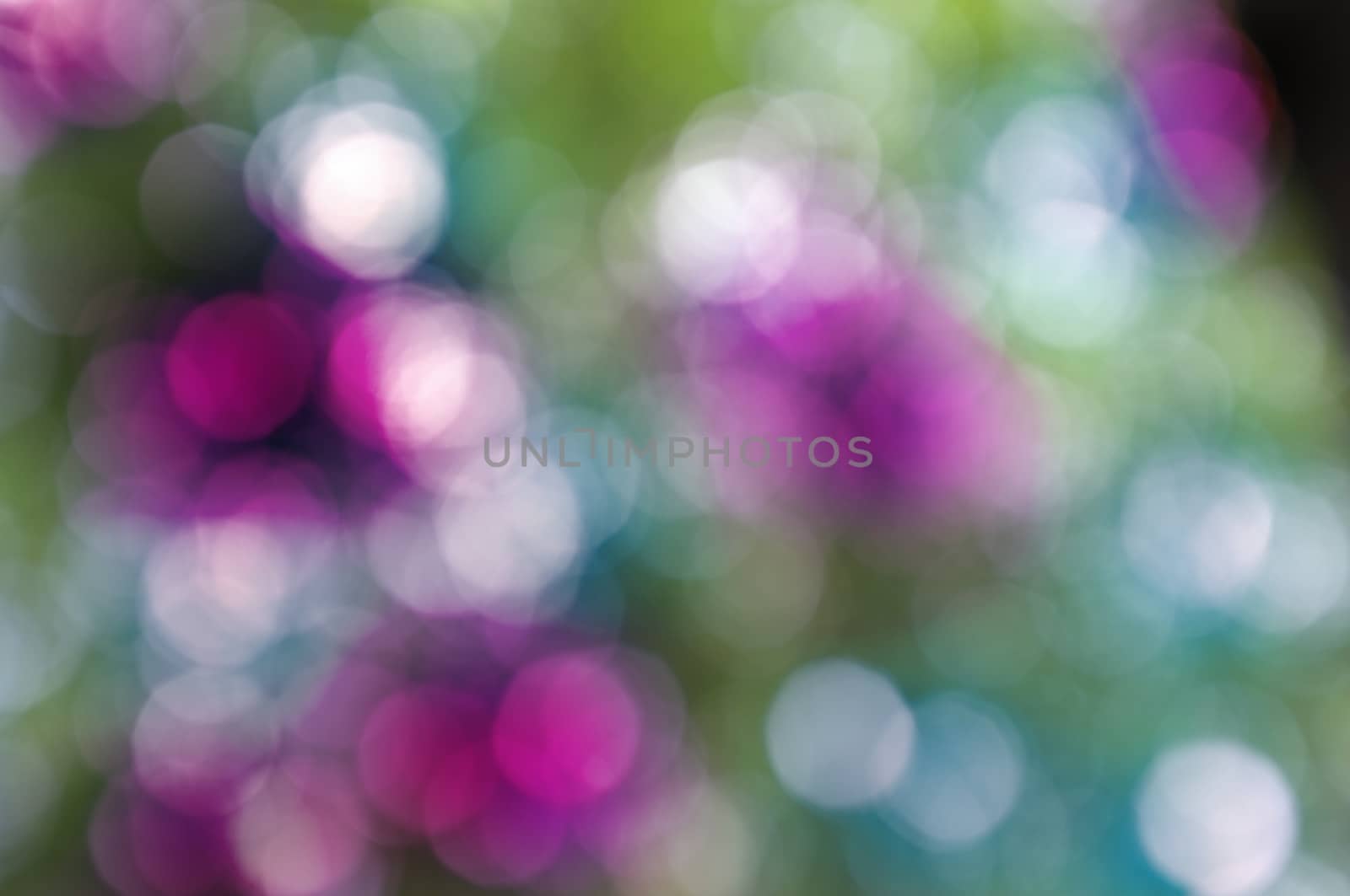 Abstract circular bokeh nature background of light . Blur background
