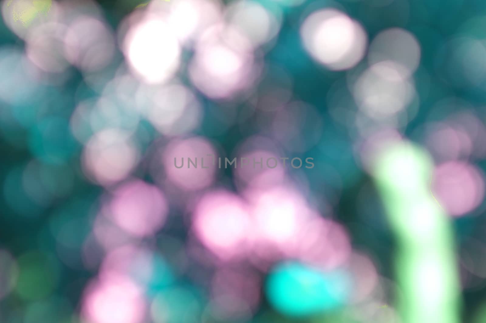 Abstract circular bokeh nature background of light . Blur background