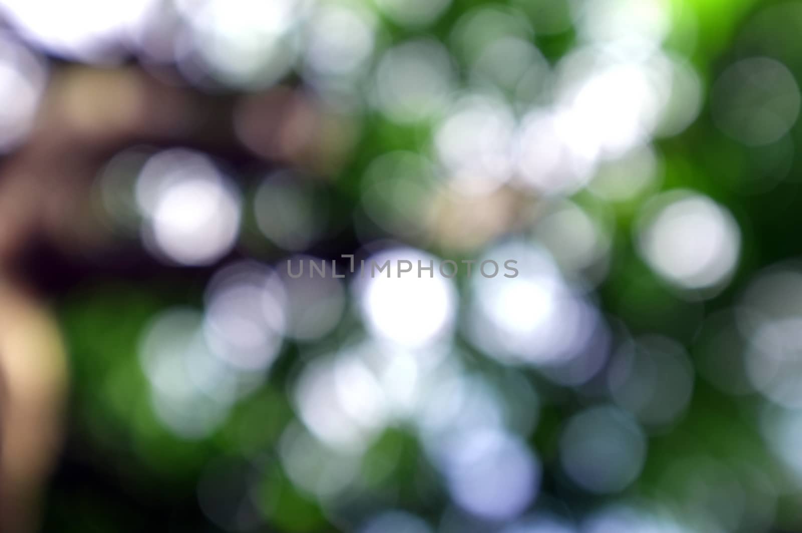 Abstract circular bokeh nature background of light . Blur background