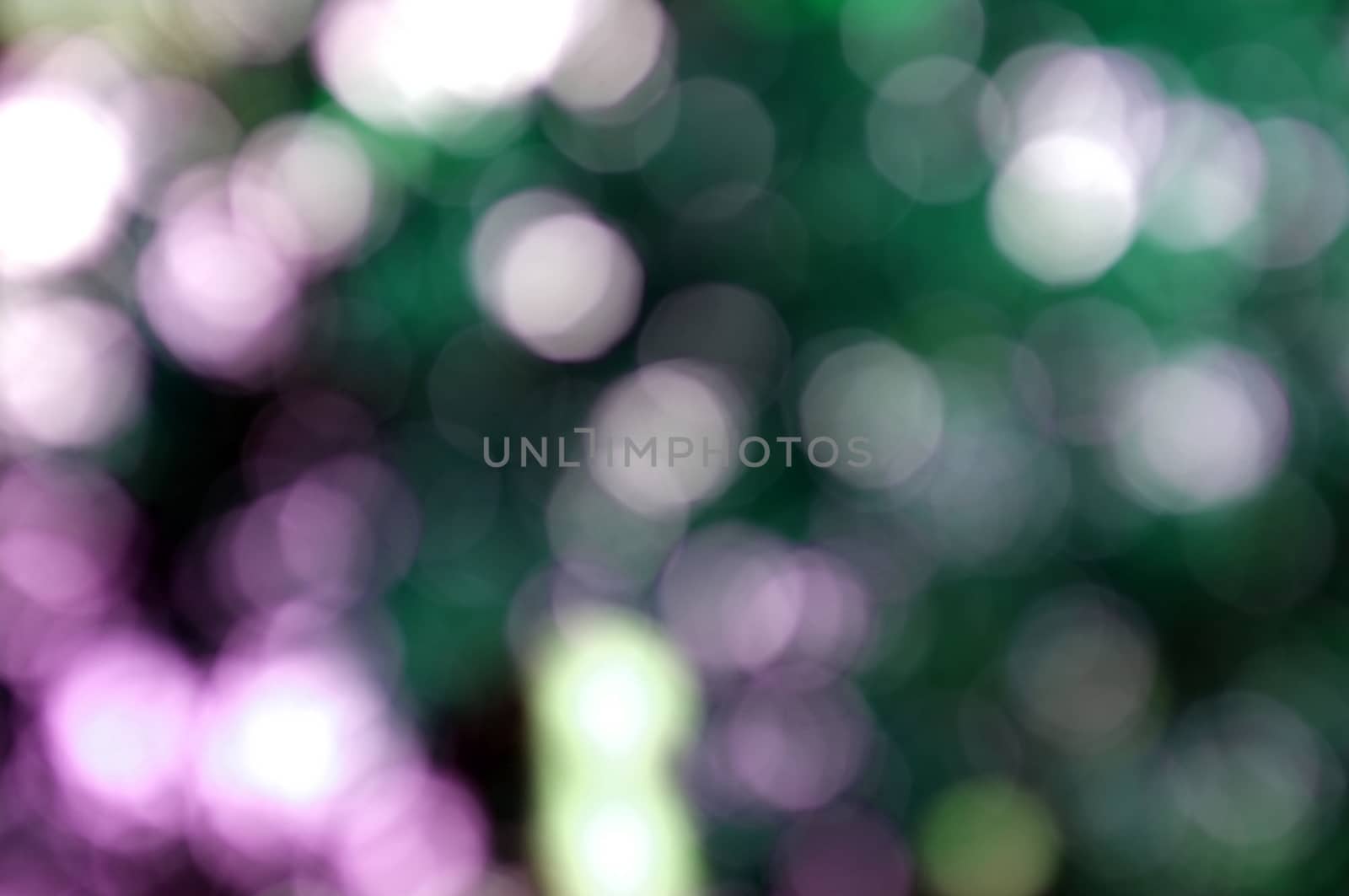Abstract circular bokeh nature background of light . Blur background