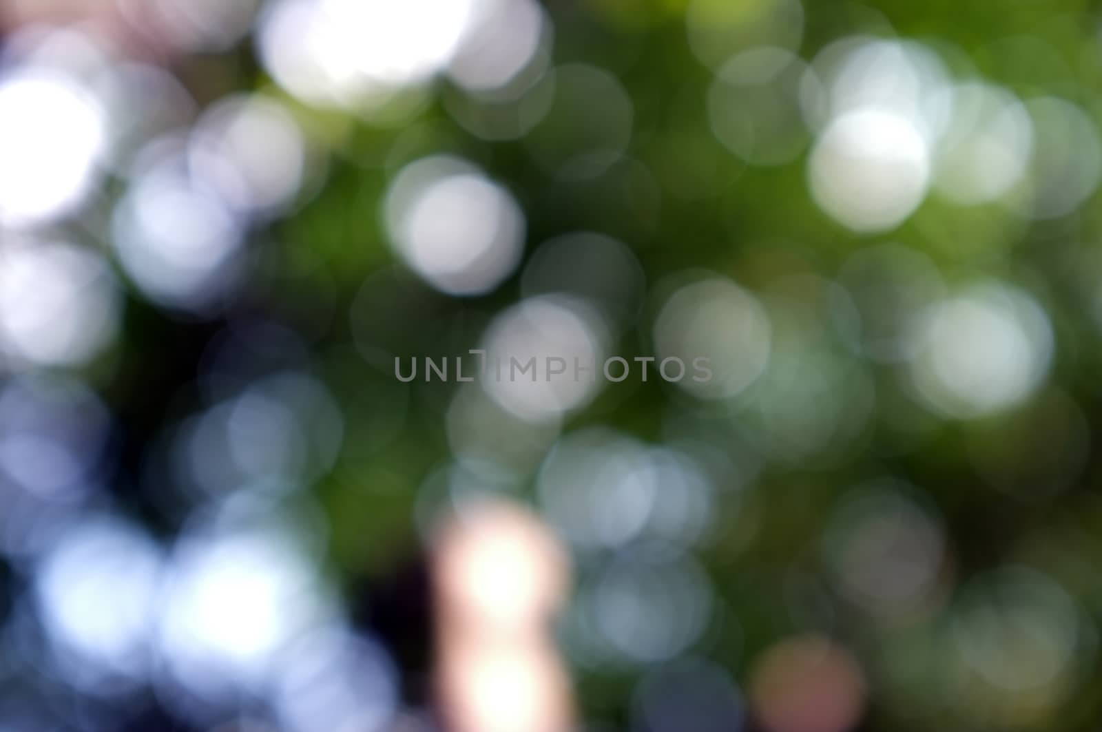 Abstract circular bokeh nature background of light . Blur background