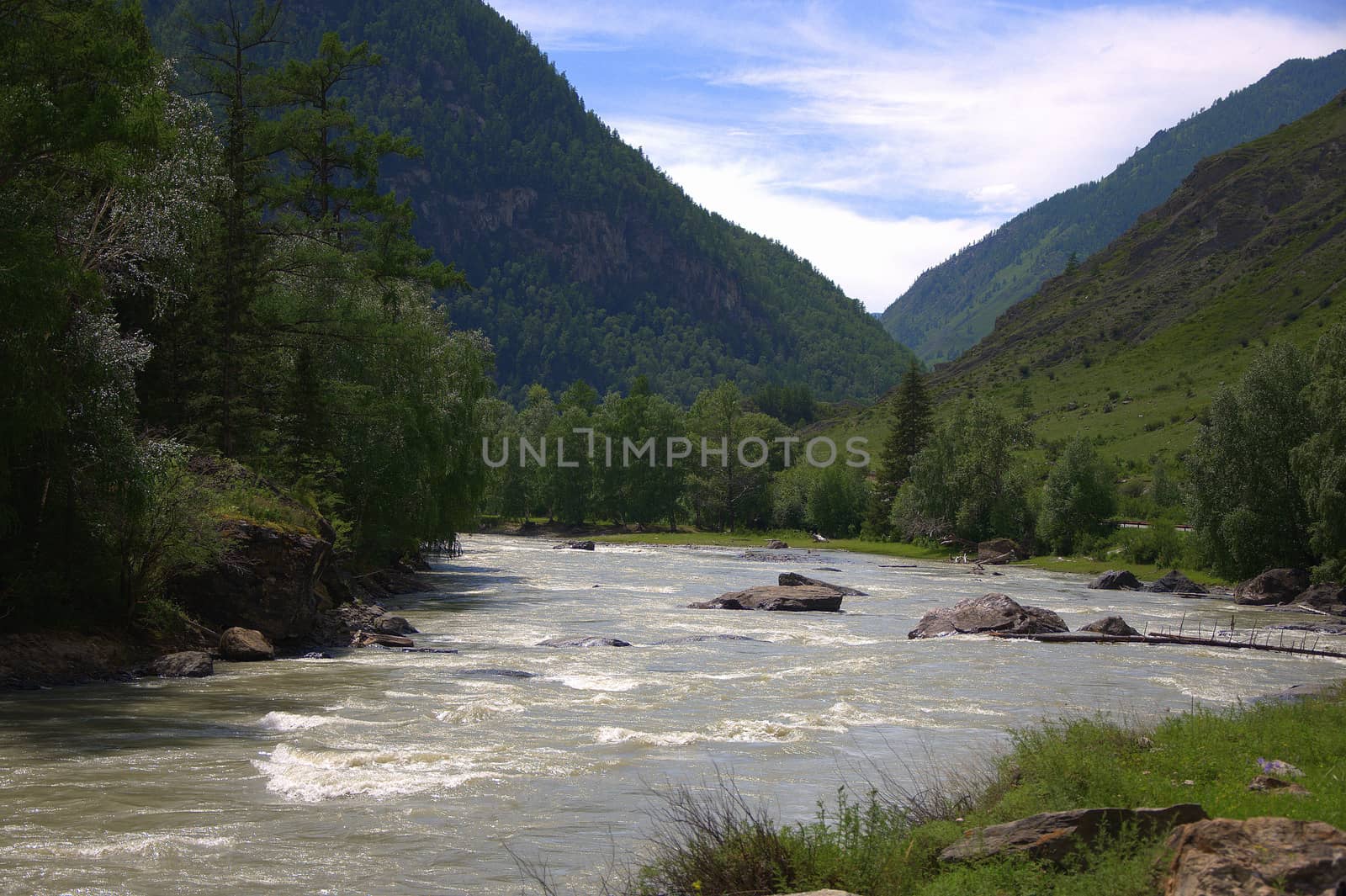 The bend of a stormy mountain river in a valley at the foot of the rocky mountains. Altai, Siberia, Russia.