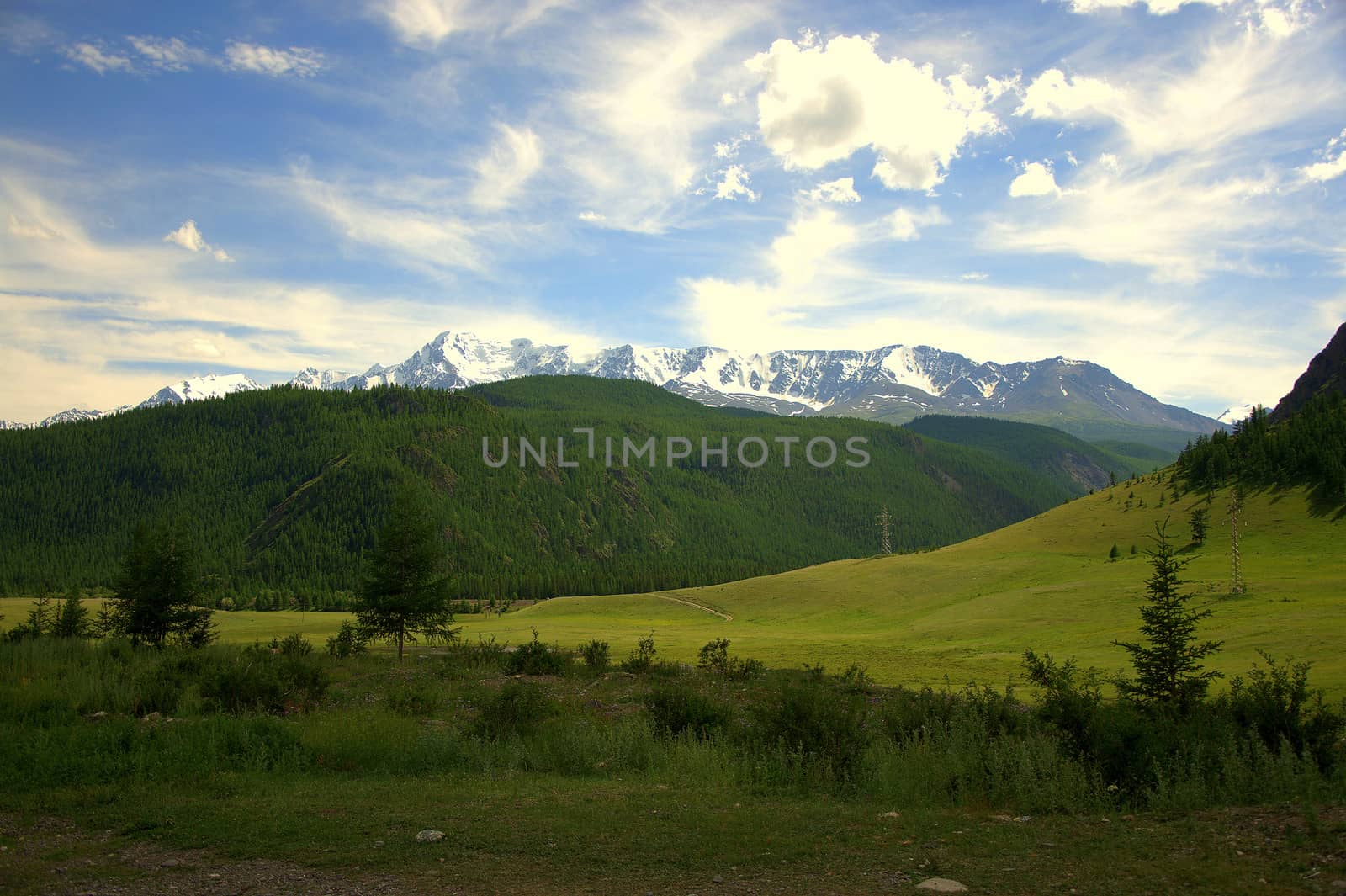 Fertile valley near the hill overlooking the mountain ranges in the snow. Altai, Siberia, Russia.