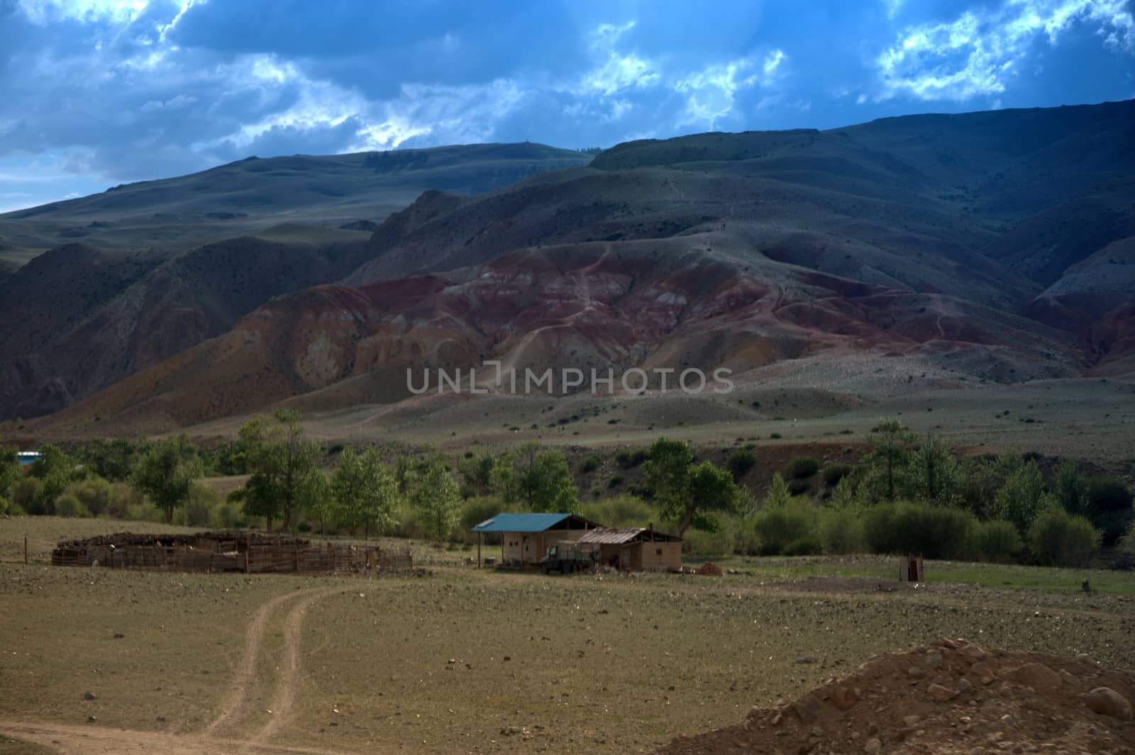 A dirt road leading through the steppe to the village at the foot of the Red Mountains. Altai, Siberia, Russia.