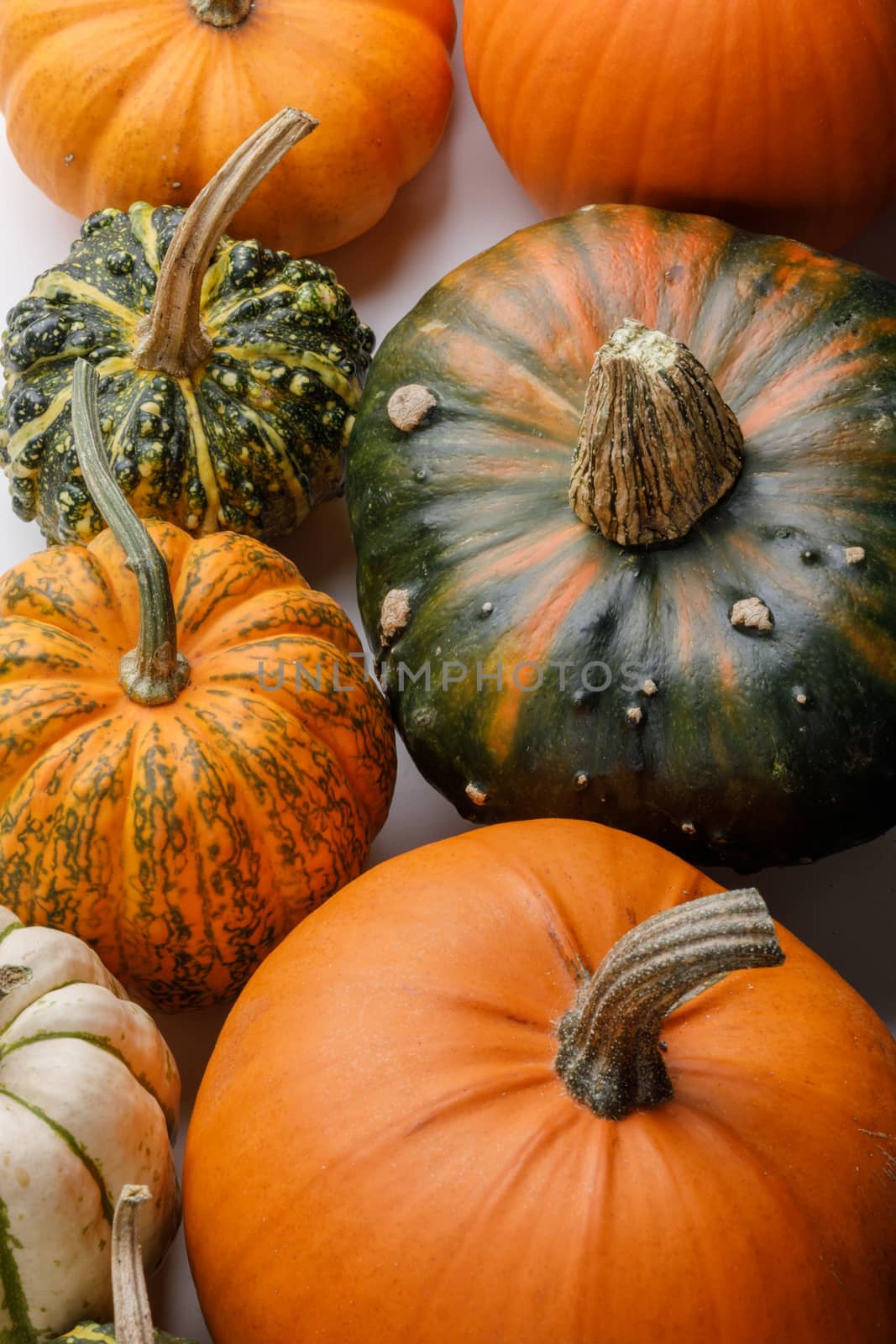 Many orange pumpkins background , Halloween concept