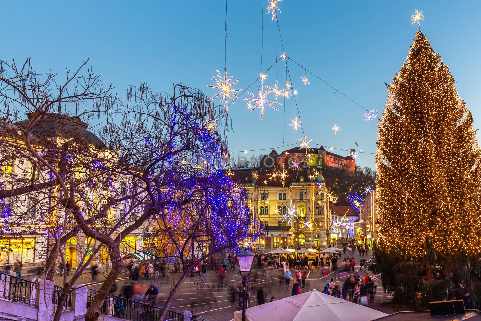 Romantic Ljubljana's city center decorated for Christmas holidays. Preseren's square, Ljubljana, Slovenia, Europe by kasto