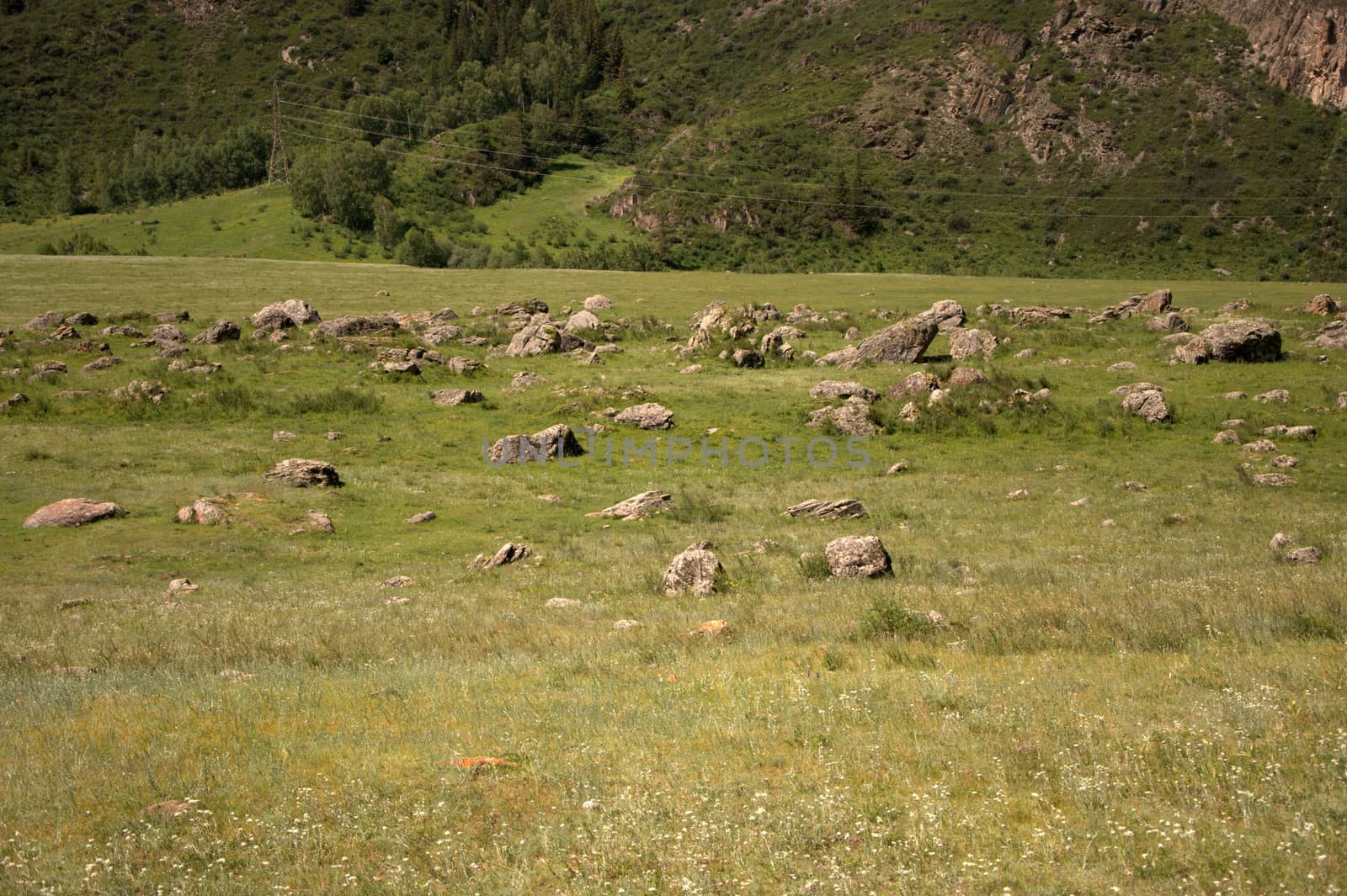 Cobblestone pasture at the foot of a hill. Altai, Siberia, Russia.