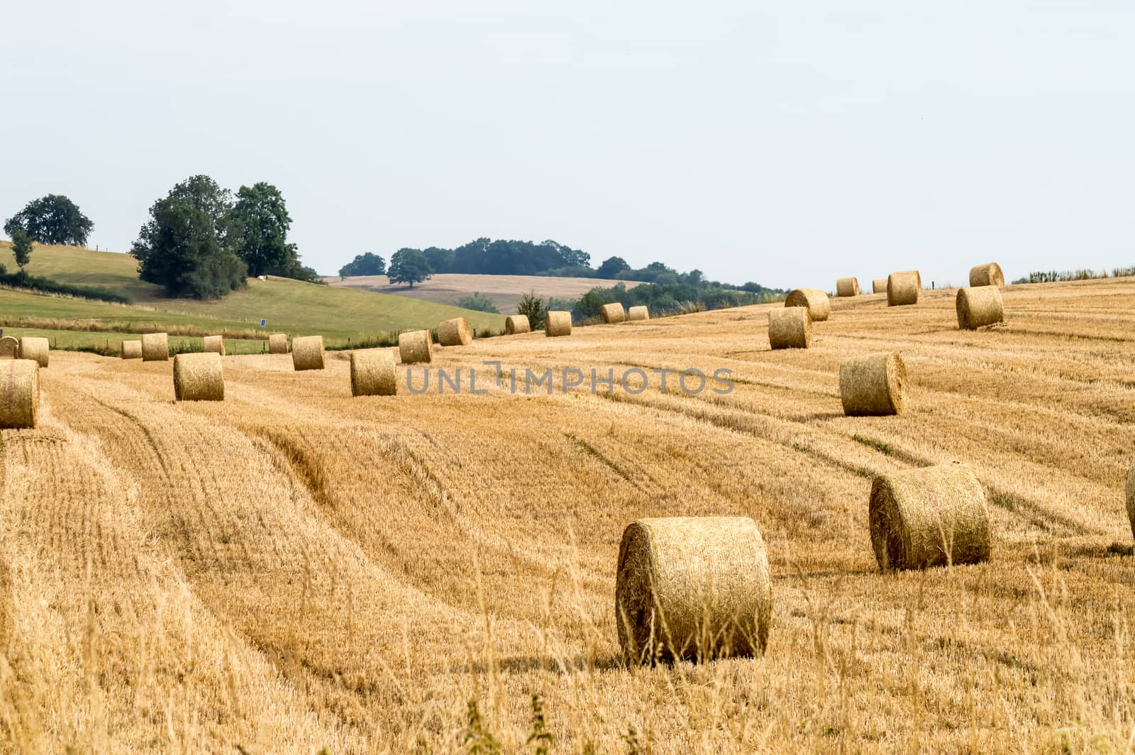 Fields of haystacks in the countryside of Gérouville near Virto by Philou1000