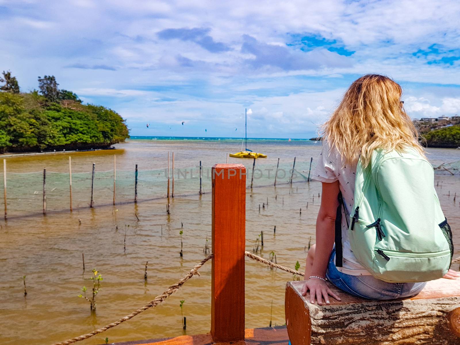 A girl with a backpack sits on a bench on the shore of Boracay island of the Philippines and looks at the thickets of mangroves in the water. Rear view. Follow me. by rdv27