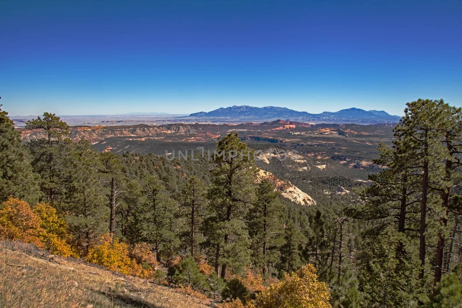 Fall landscape on Scenic Byway 12, Utah, USA