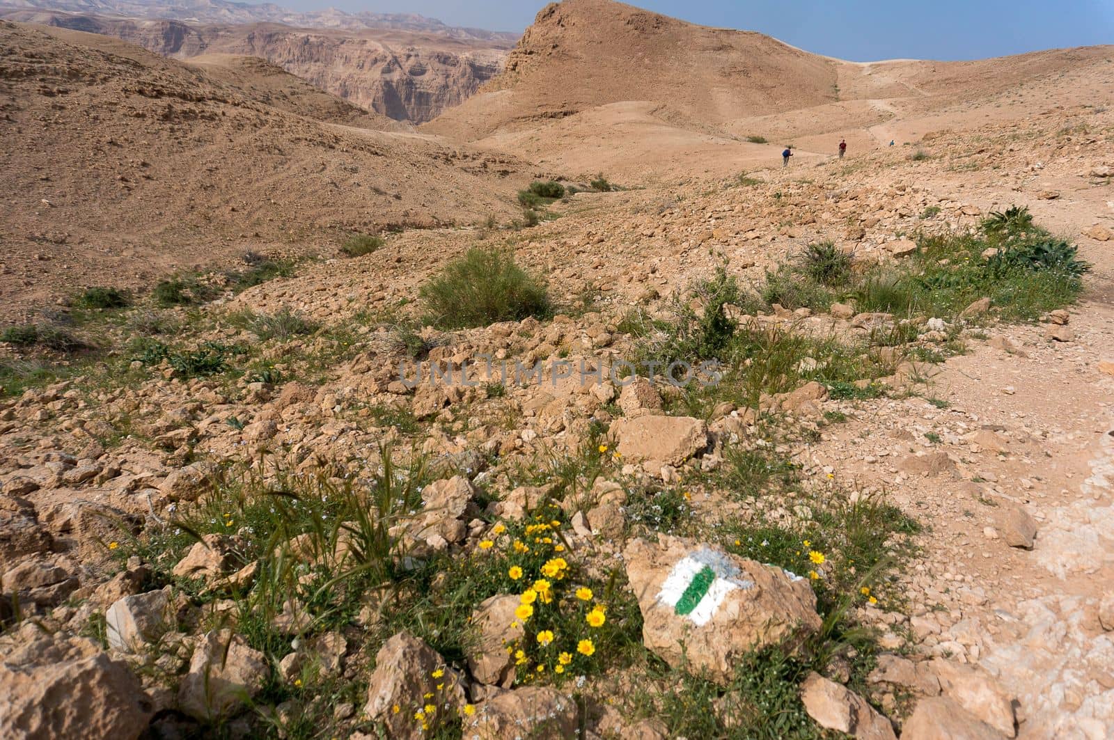 Hiking in spring desert health and ecology tourism