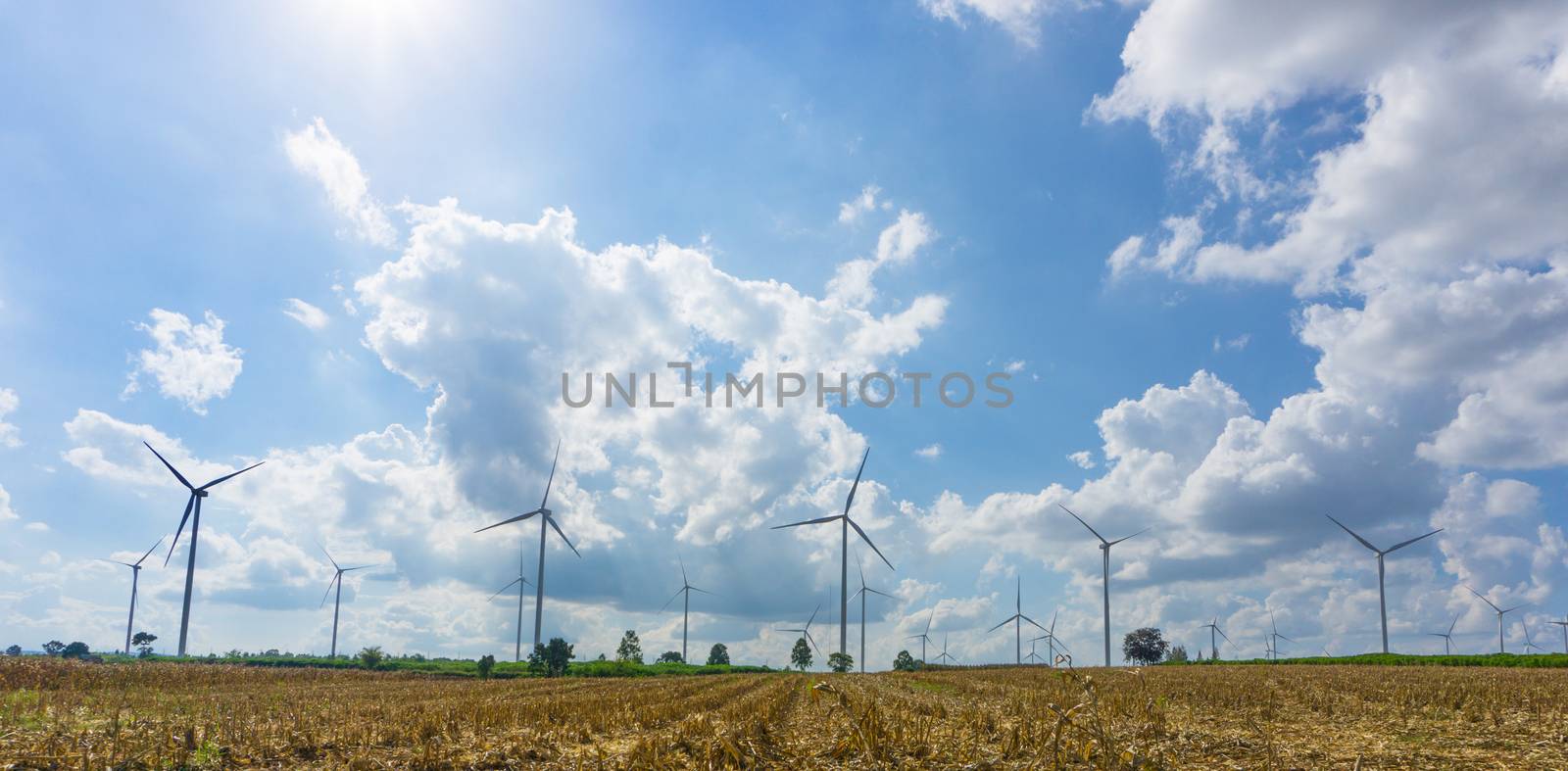 Panorama of Many wind turbine in meadow. by pkproject