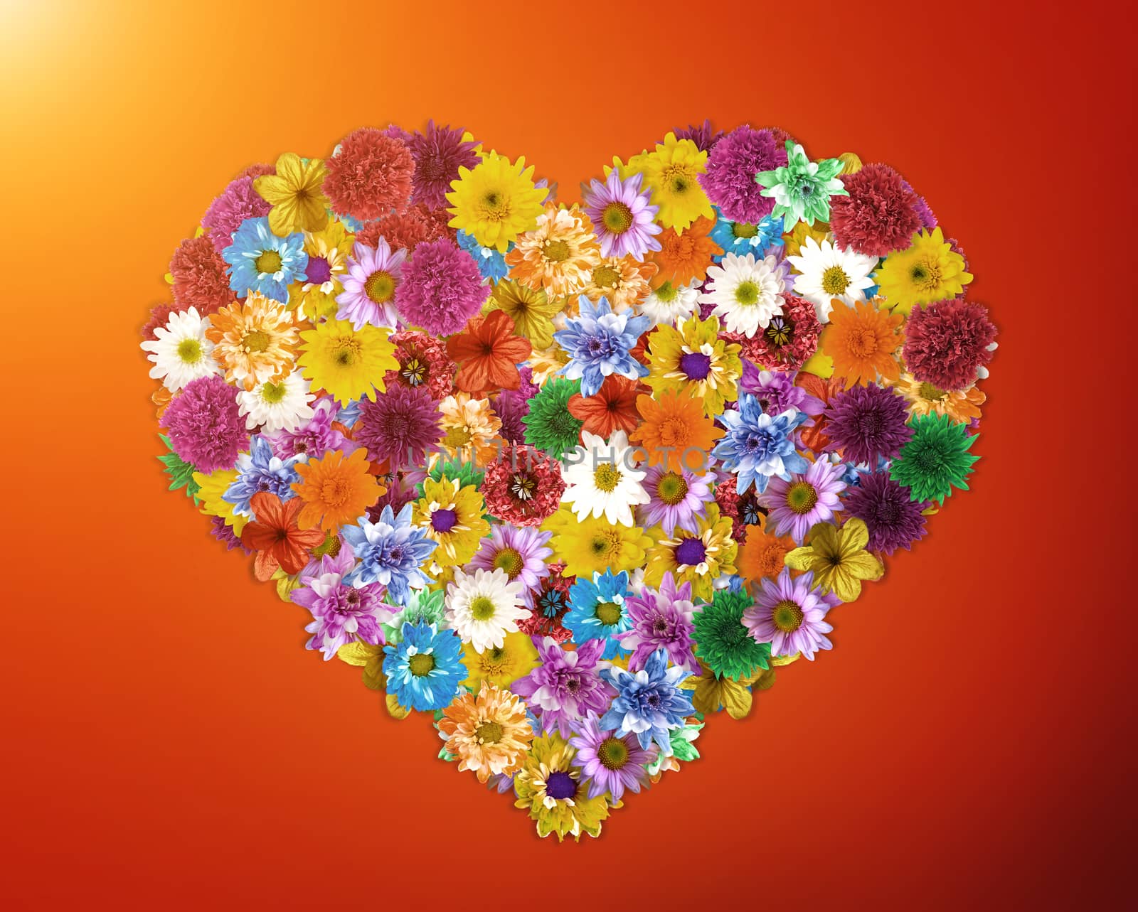 Flower arrangement is Heart-shaped- Designed for valentine's day concept.