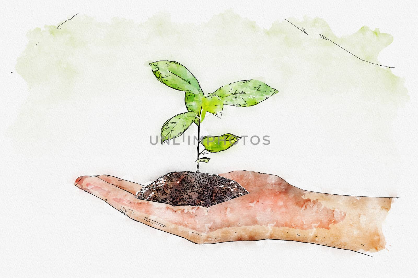 Watercolor of plant in the hand on green background by pkproject