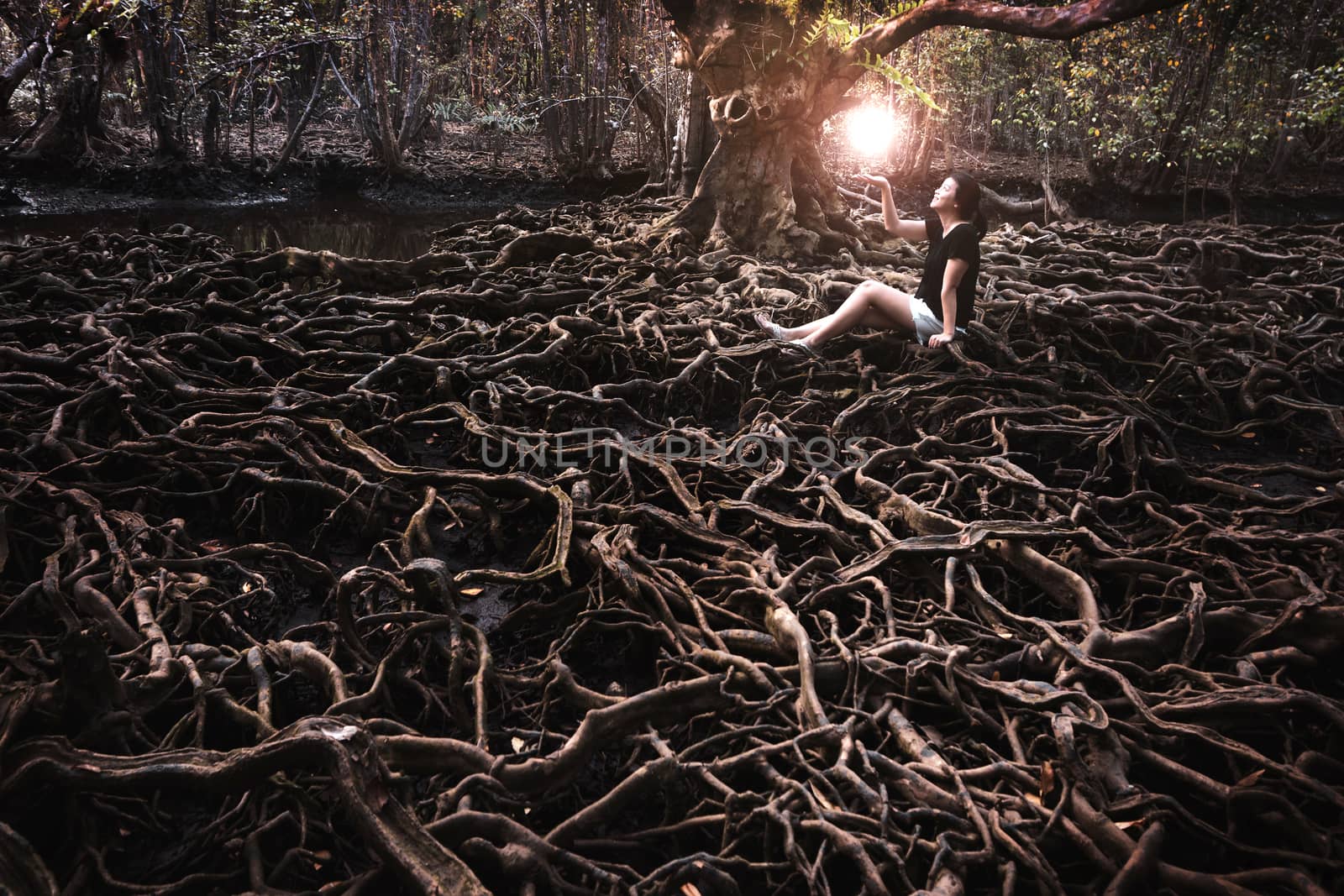 Asian girl and light ball with The roots of a large tree that grows bigger. The concept of growth.