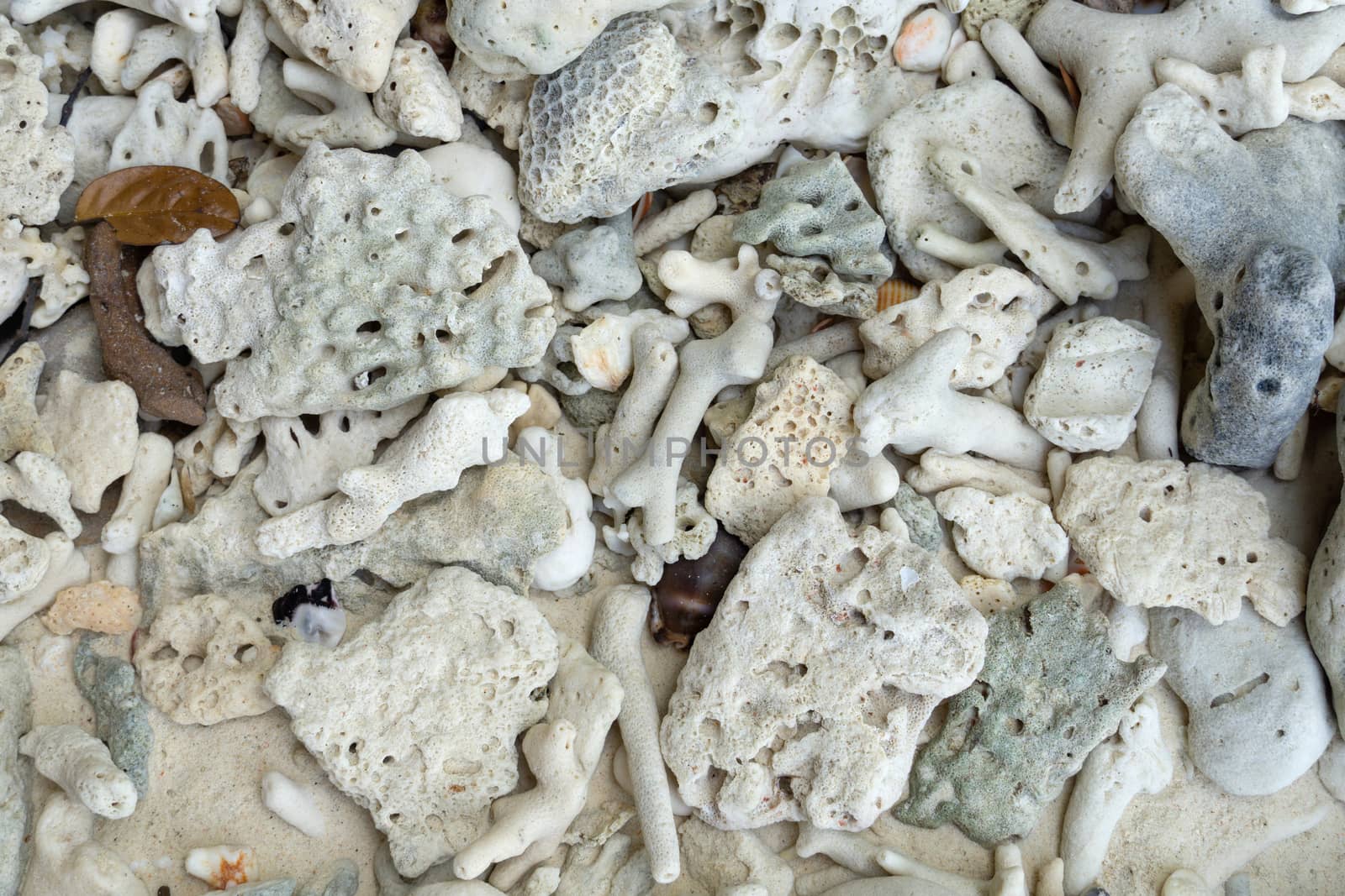 White broken dead coral beach nature background in thailand sea. by pkproject