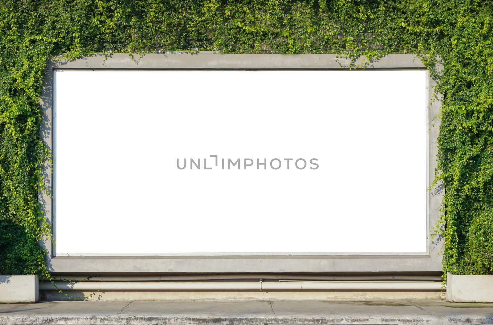 White billboard on spring summer green leaves background by pkproject