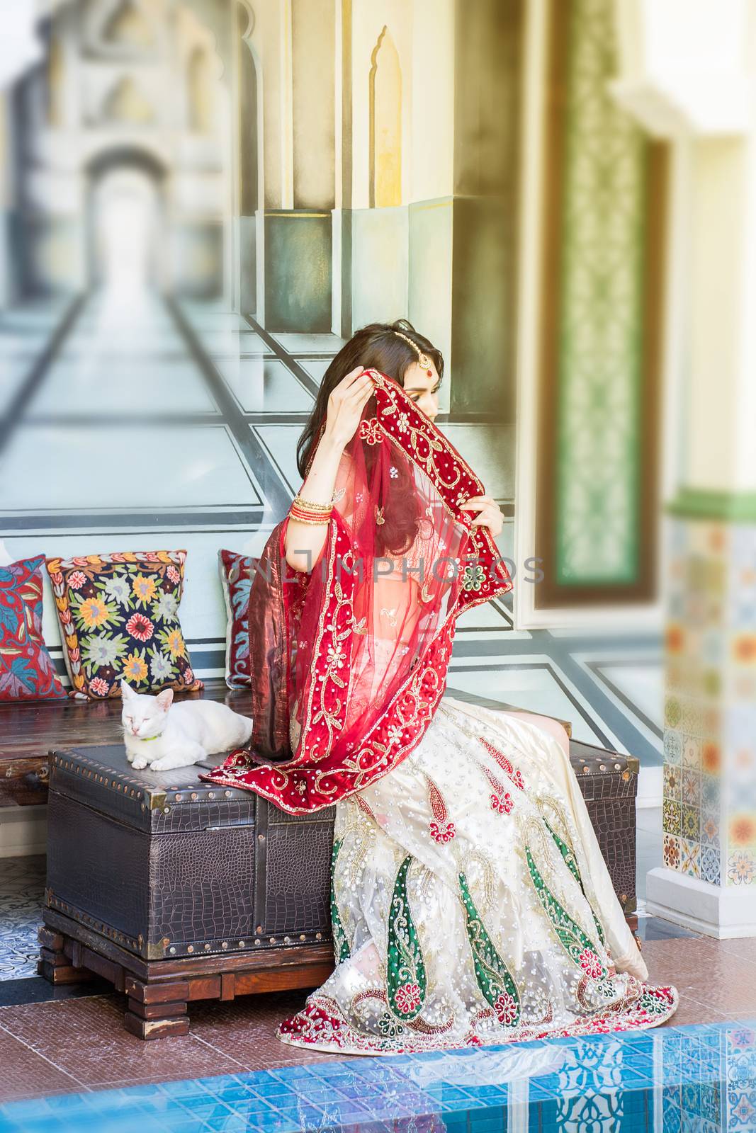 Red Indian Costume Beautiful Girl, face partially covered with saree. Portrait of Traditional woman in sari dress.
