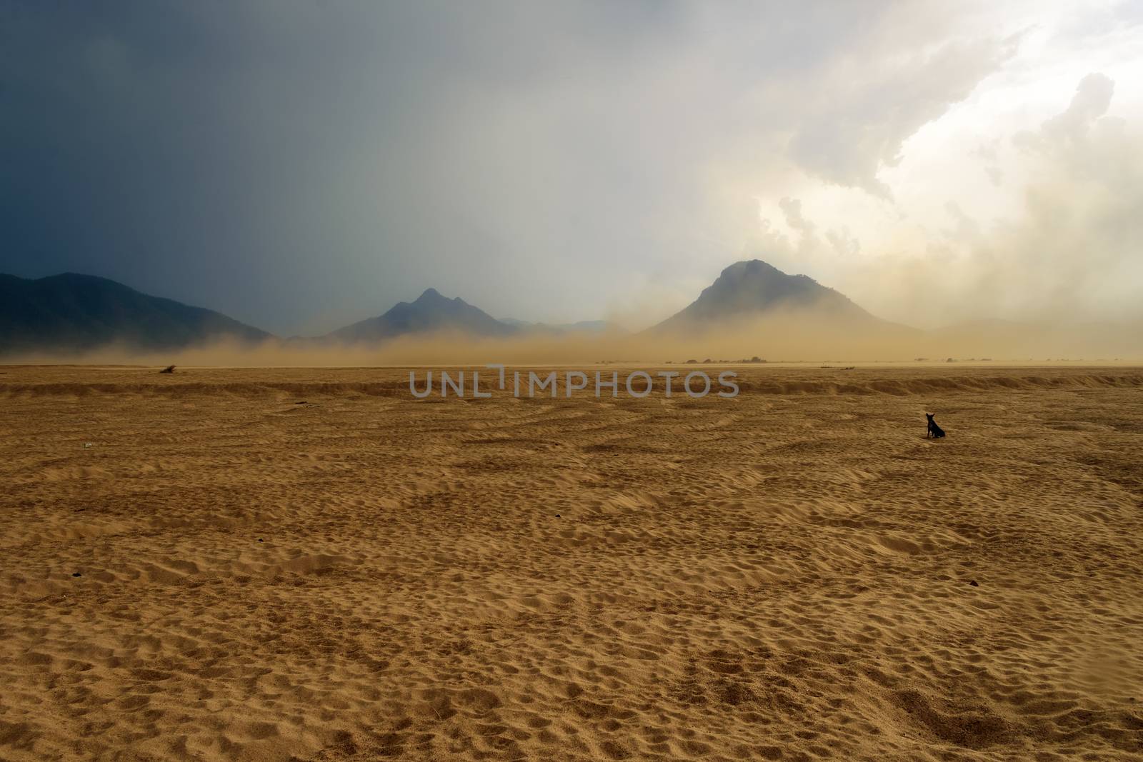 Sandstorm raging over the bank of Mahanadi river during dusk, surrounded by Eastern Ghat mountain range, copy space