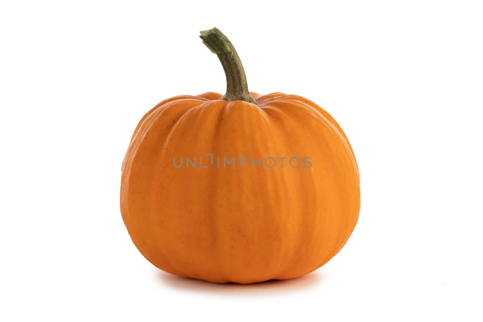 One perfect pumpkin isolated on white background