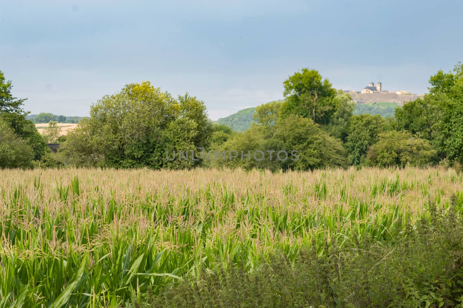 Cornfield with the citadel  by Philou1000