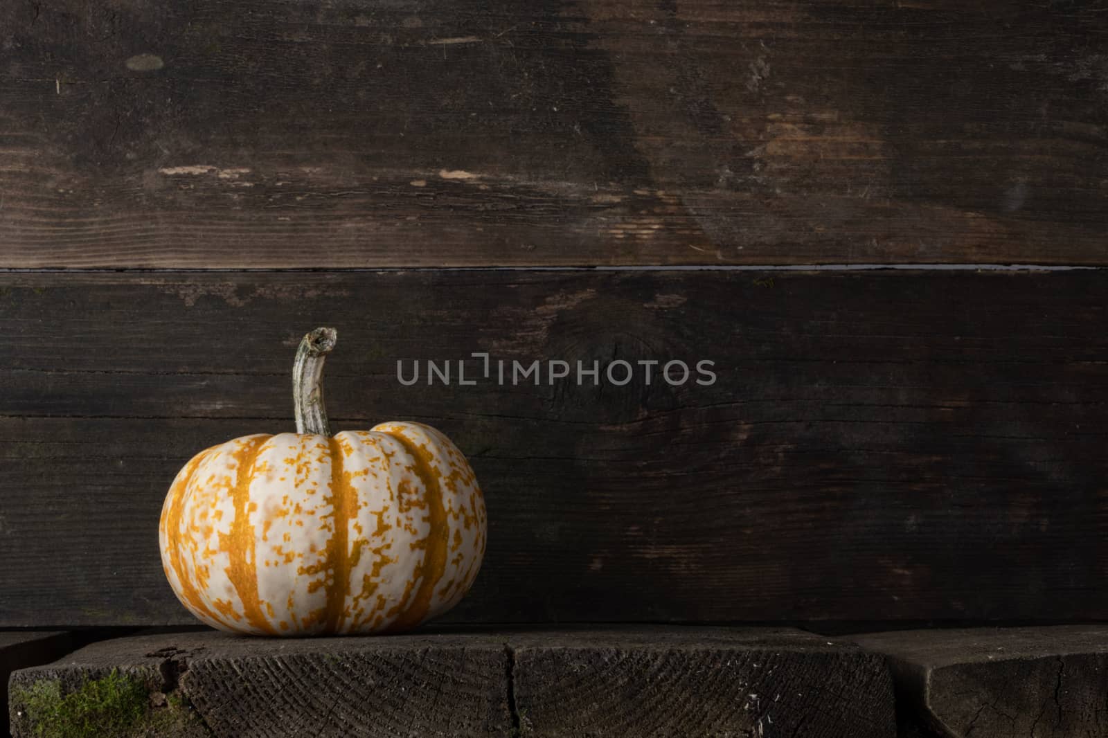 One orange pumpkin on dark wooden background, Halloween concept