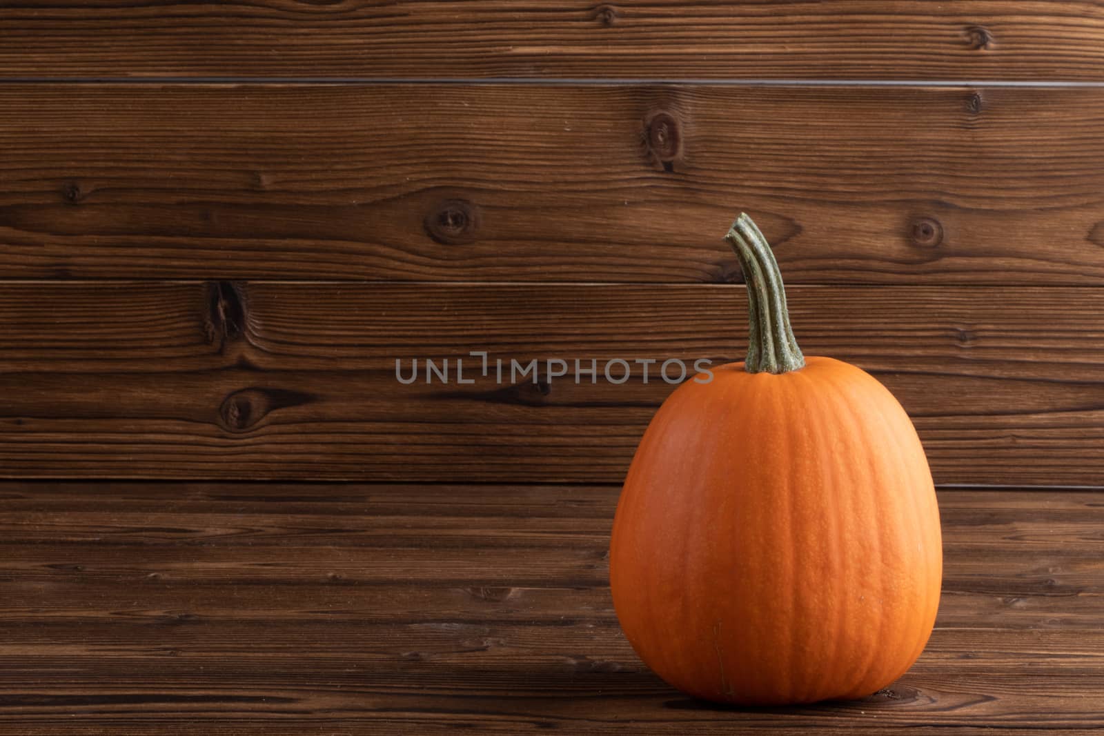 One orange pumpkin on dark wooden background with copy space for text , Halloween concept