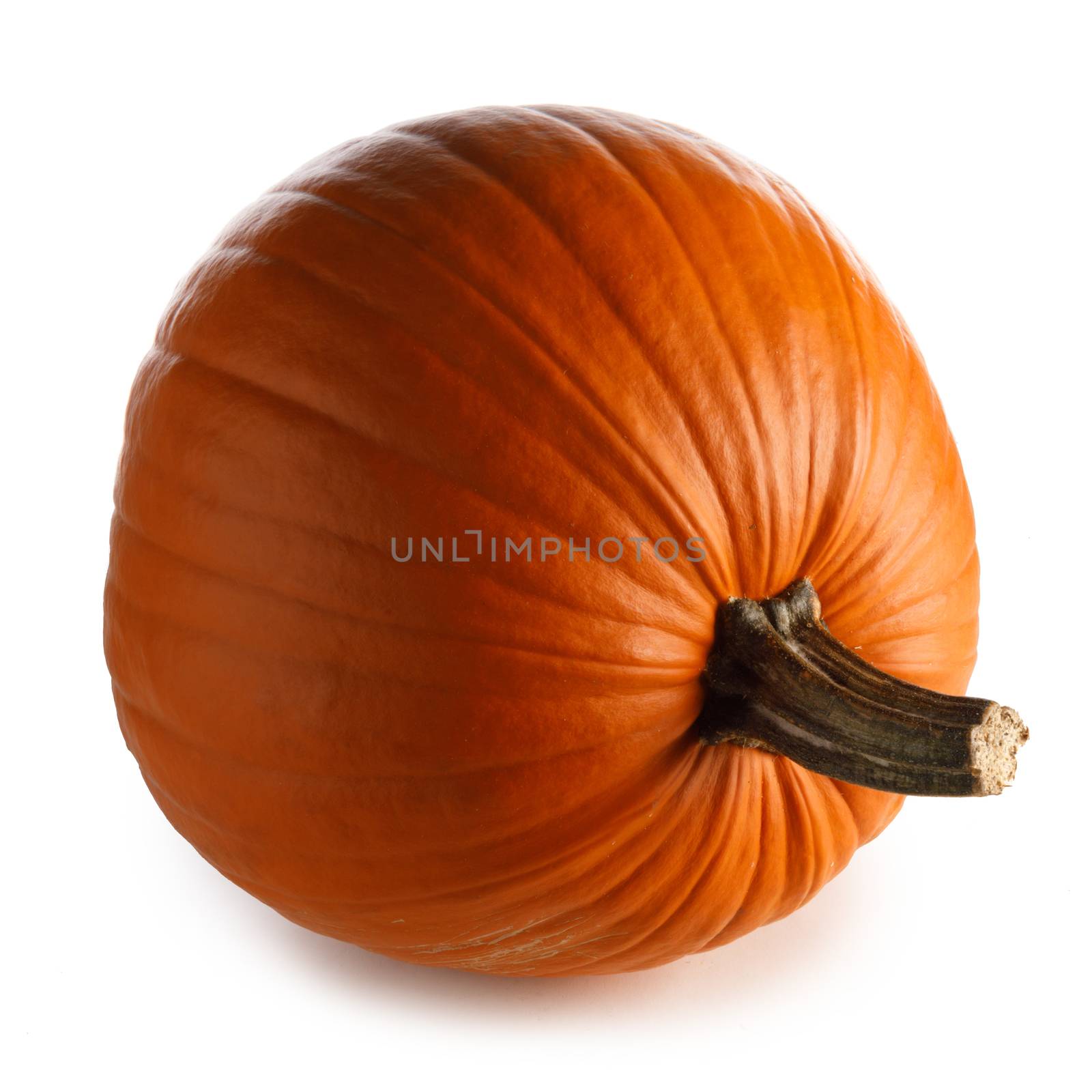 One perfect pumpkin isolated on white background