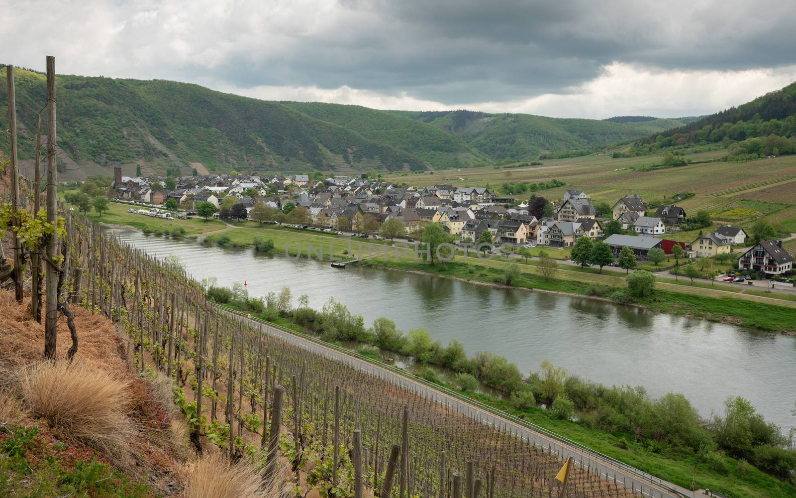 Panoramic image of the Moselle village Ernst close to Cochem on a dully day in springtime, Germany
