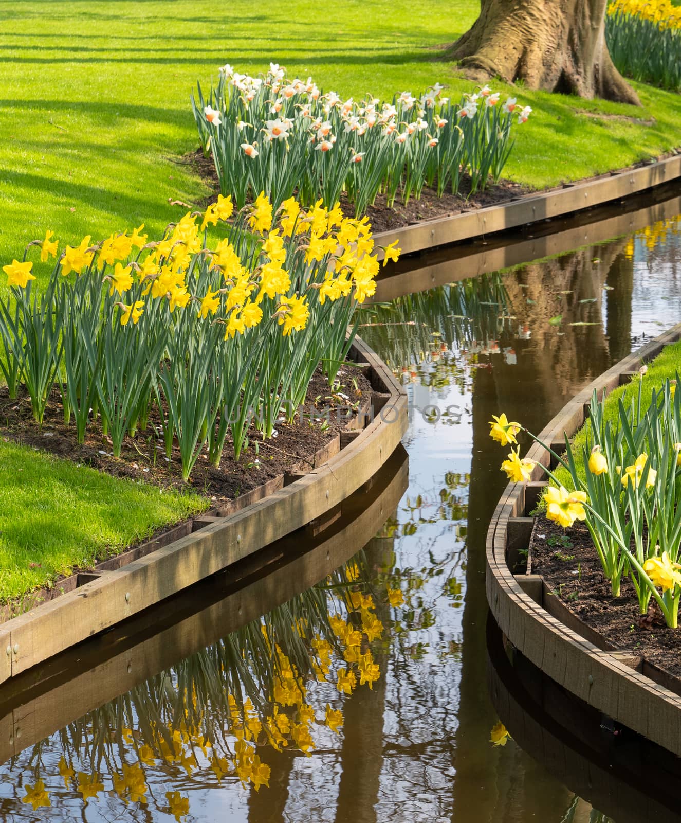 Small creek with flowers during springtime