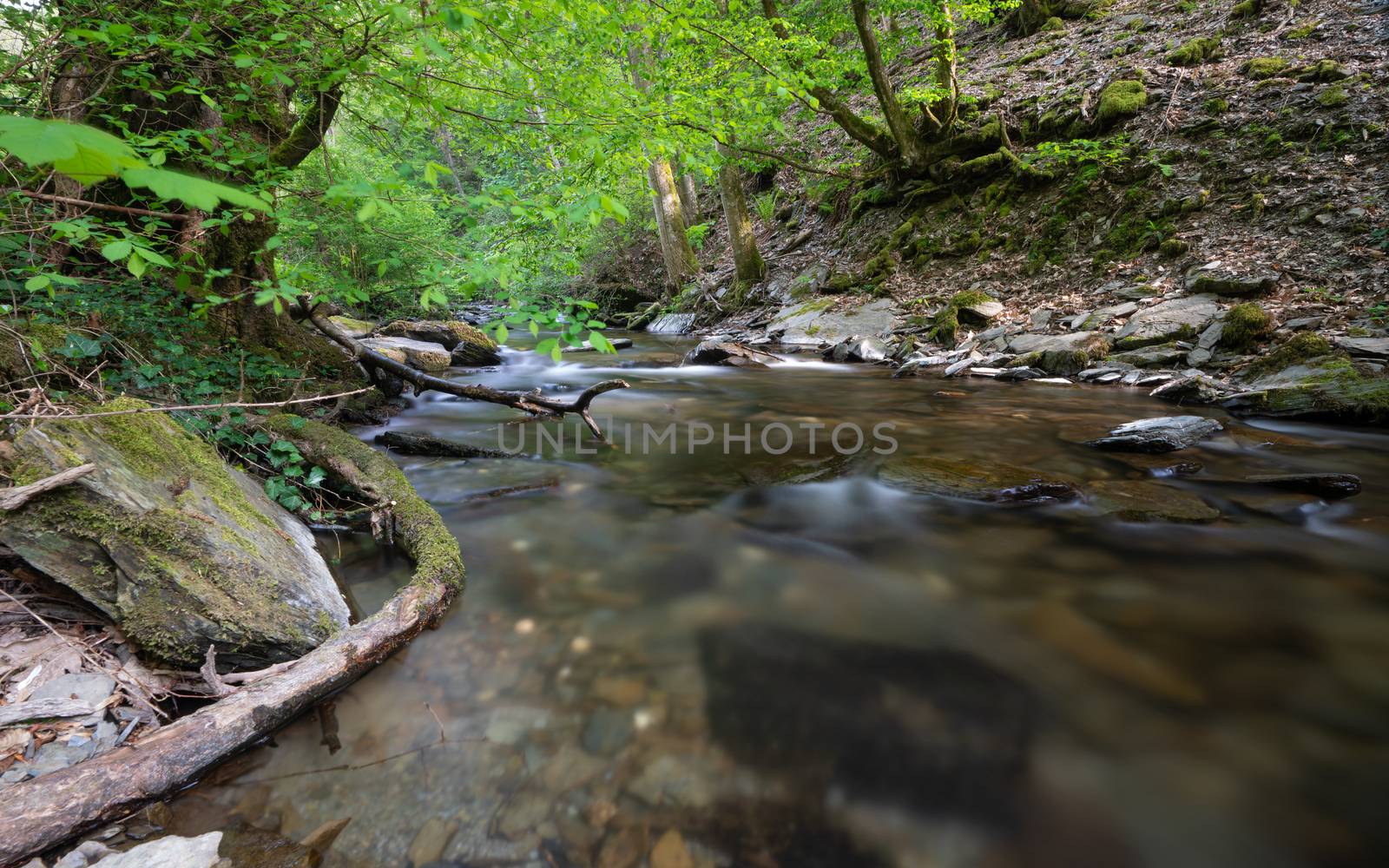 Small Endert creek in a side valley of the Moselle river close to Cochem during springtime, Germany