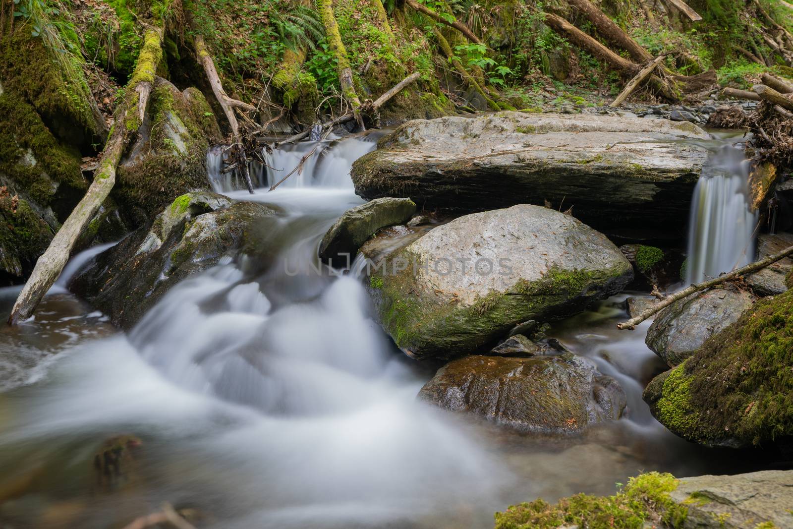 Small Endert creek in a side valley of the Moselle river close to Cochem during springtime, Germany