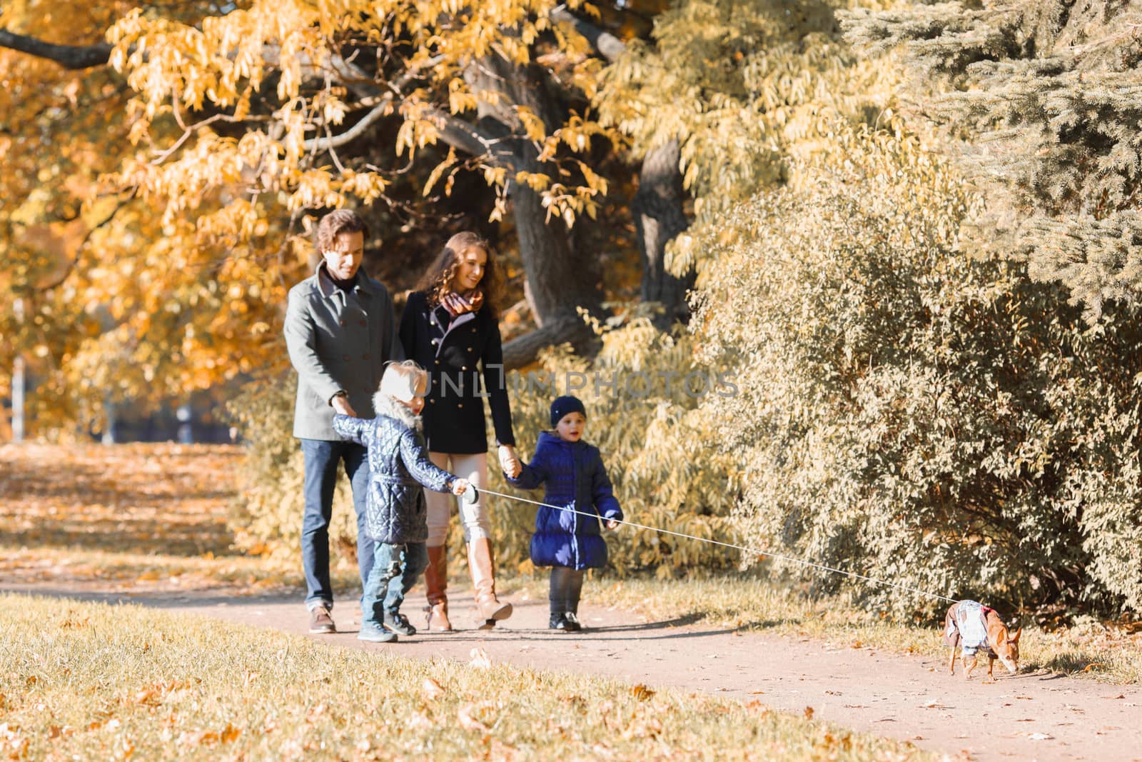 Happy smiling family of parents and children walking together holding hands in autumn park
