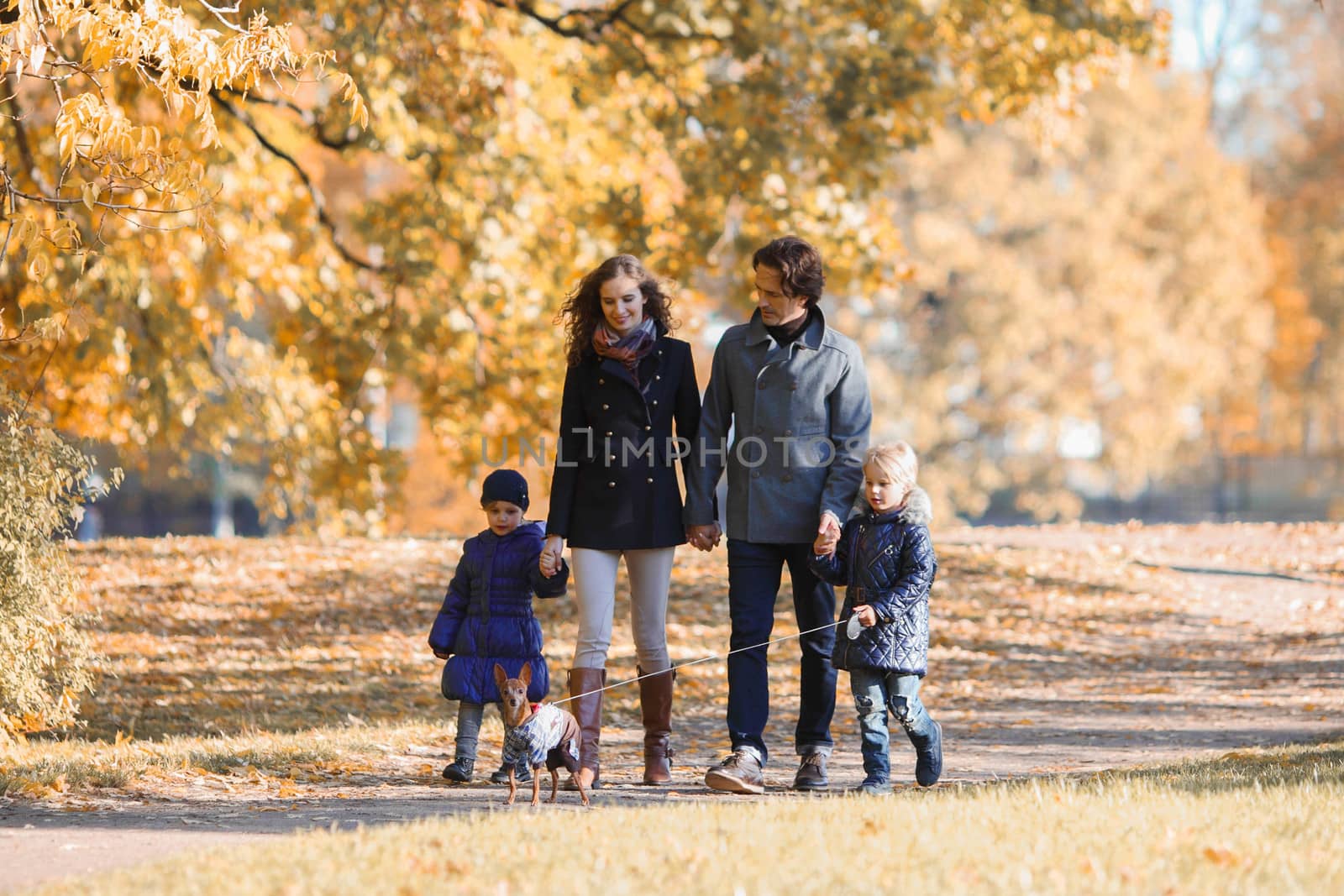 Happy smiling family of parents and children walking together holding hands in autumn park