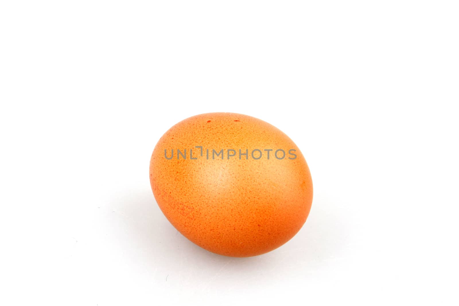 Chicken Egg Against White Background by nenovbrothers